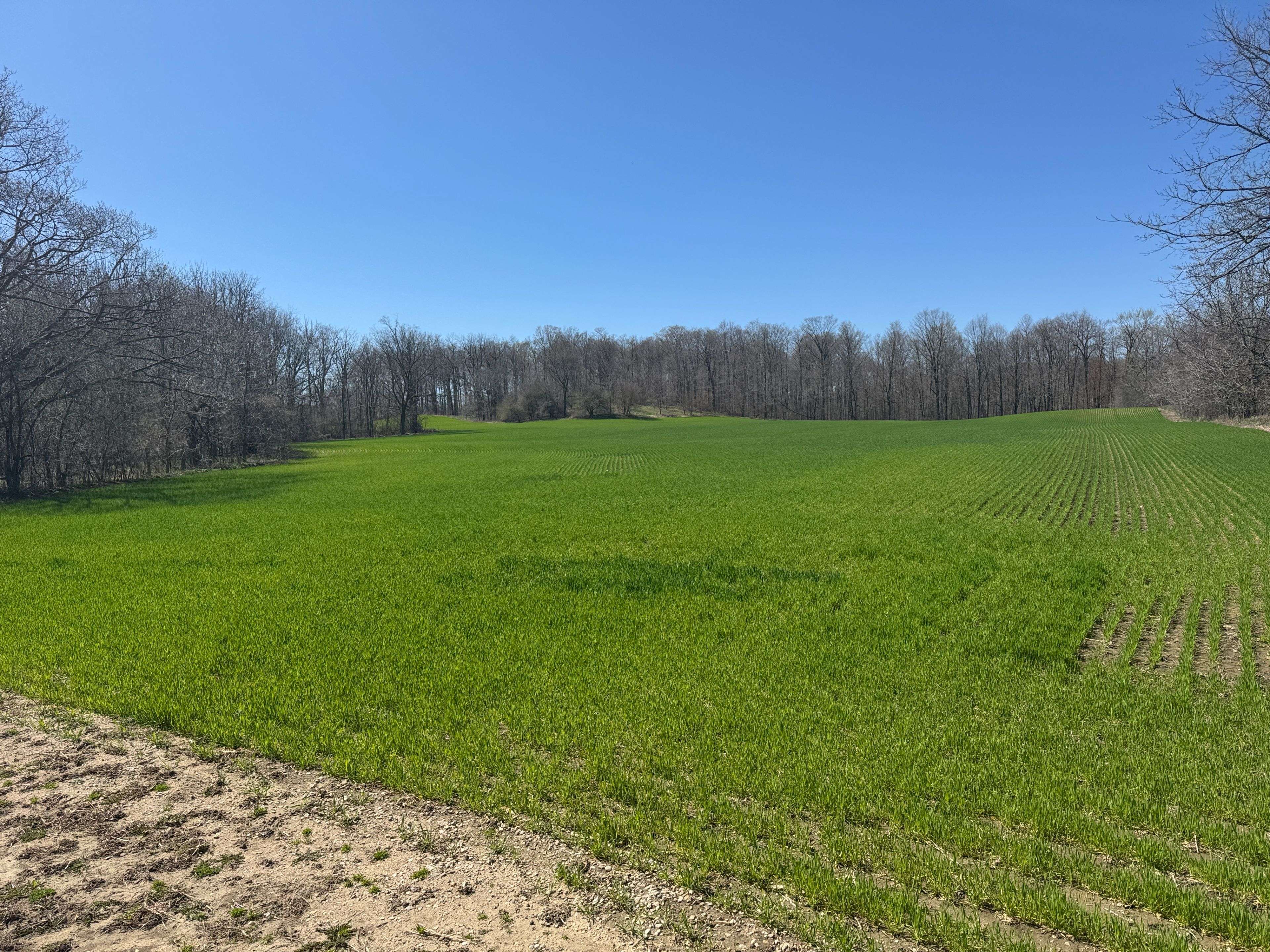 Wilmot, ON N0B 2E0,00 Bethel/Huron RD