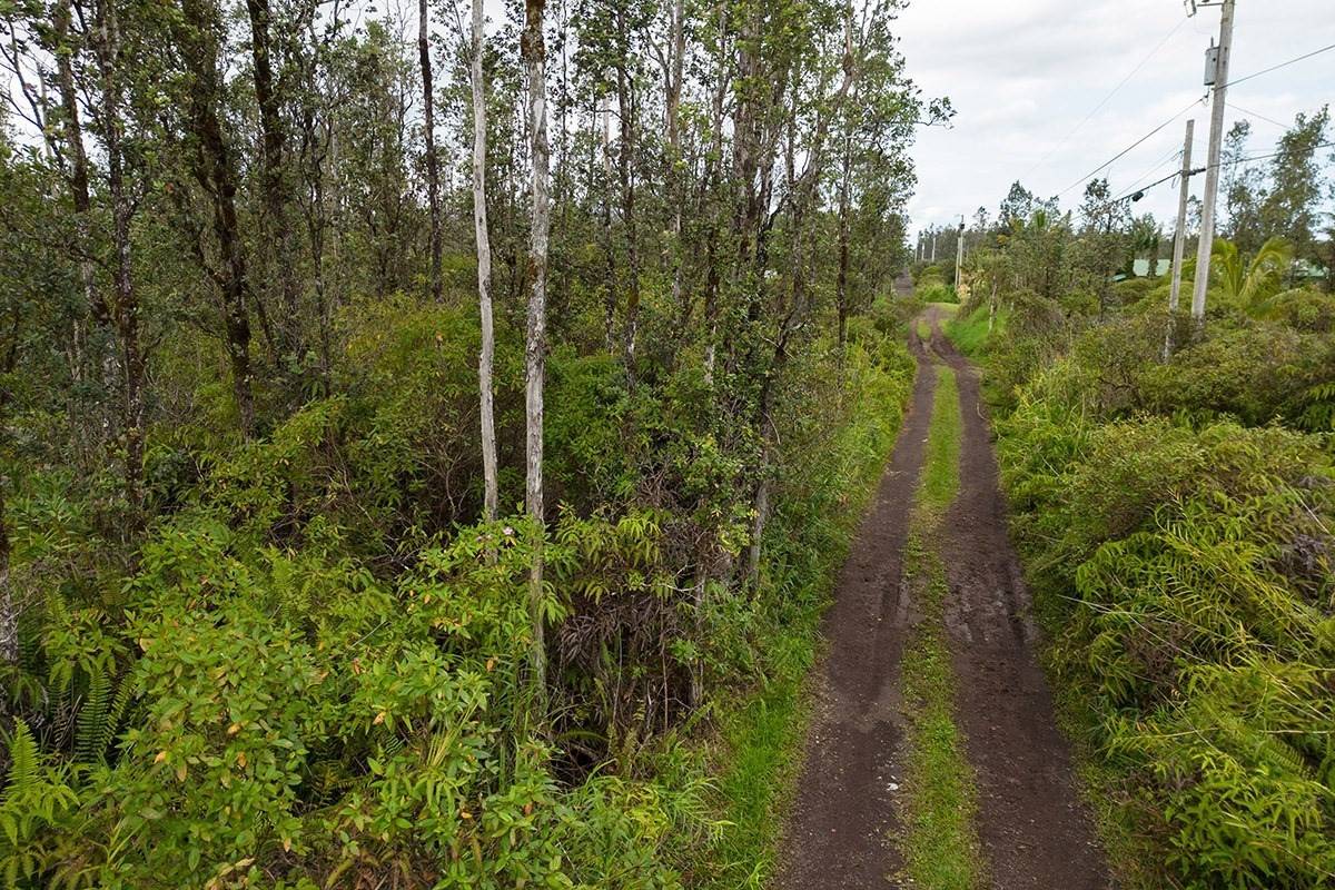 Mountain View, HI 96760,ROAD 7 (OPEAPEA)