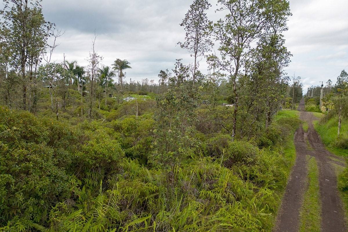 Mountain View, HI 96760,ROAD 7 (OPEAPEA)