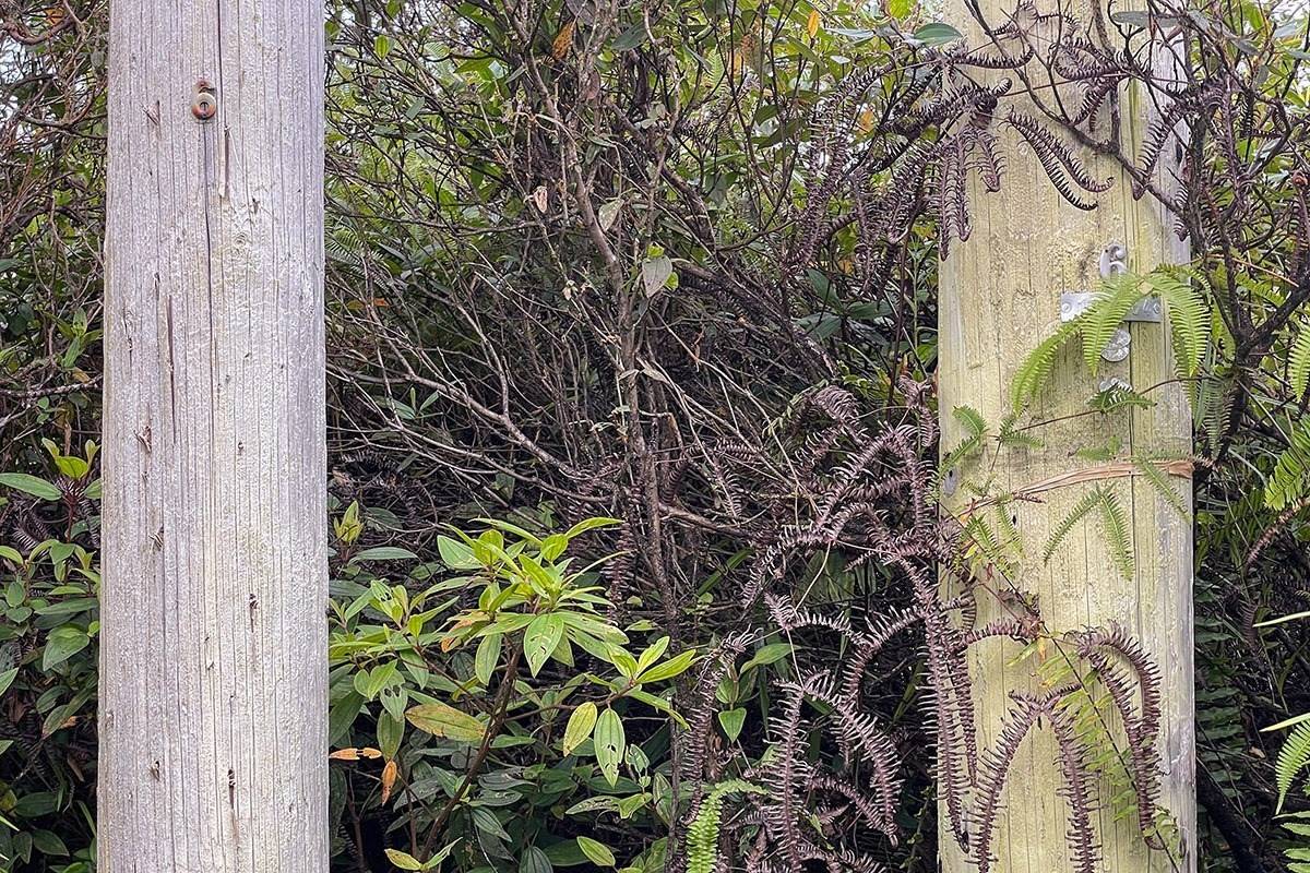 Mountain View, HI 96760,ROAD 7 (OPEAPEA)