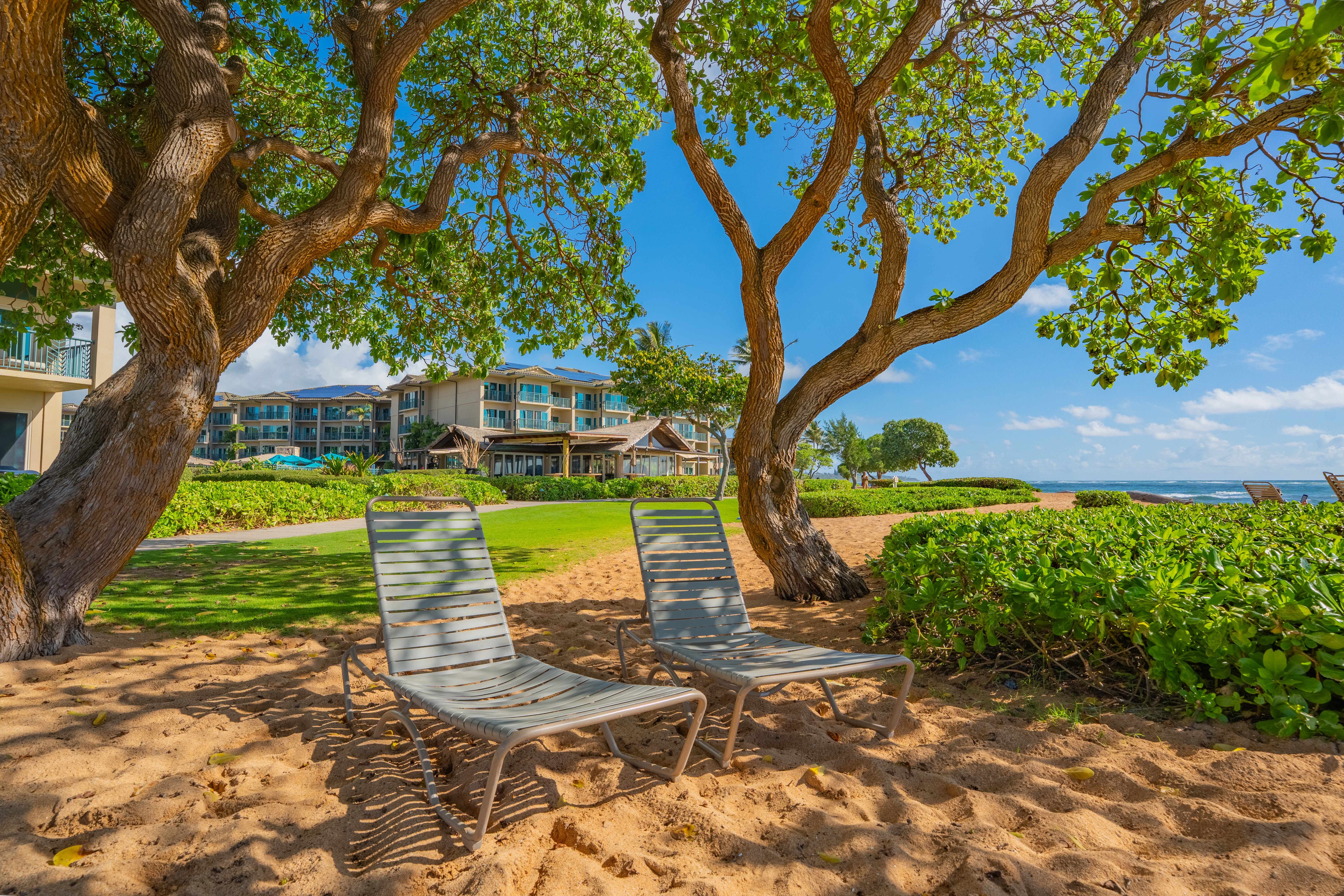 Kapaa, HI 96746,4-820 KUHIO HWY #F202