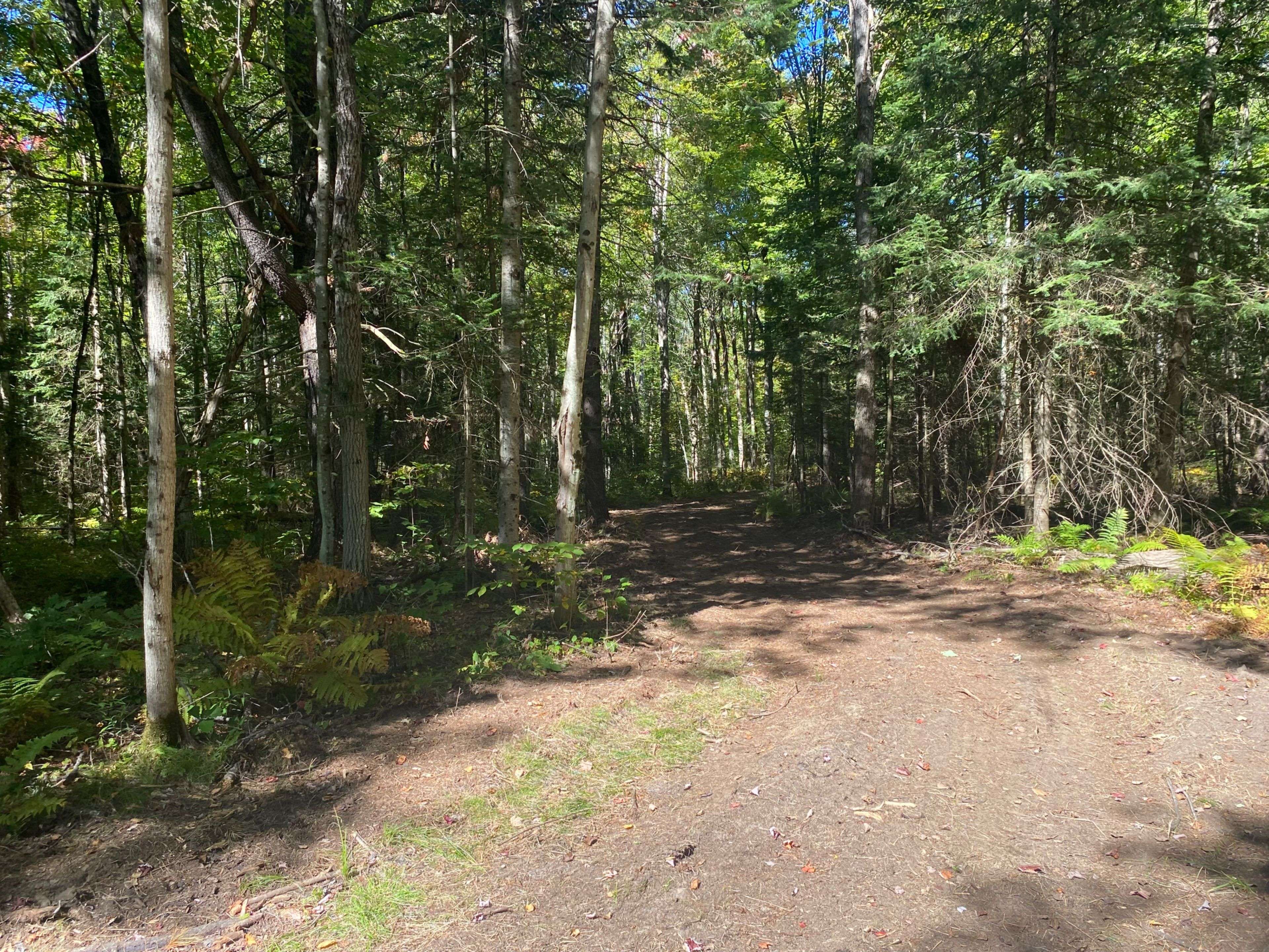 Gravenhurst, ON P0E 1G0,1248 Beiers RD