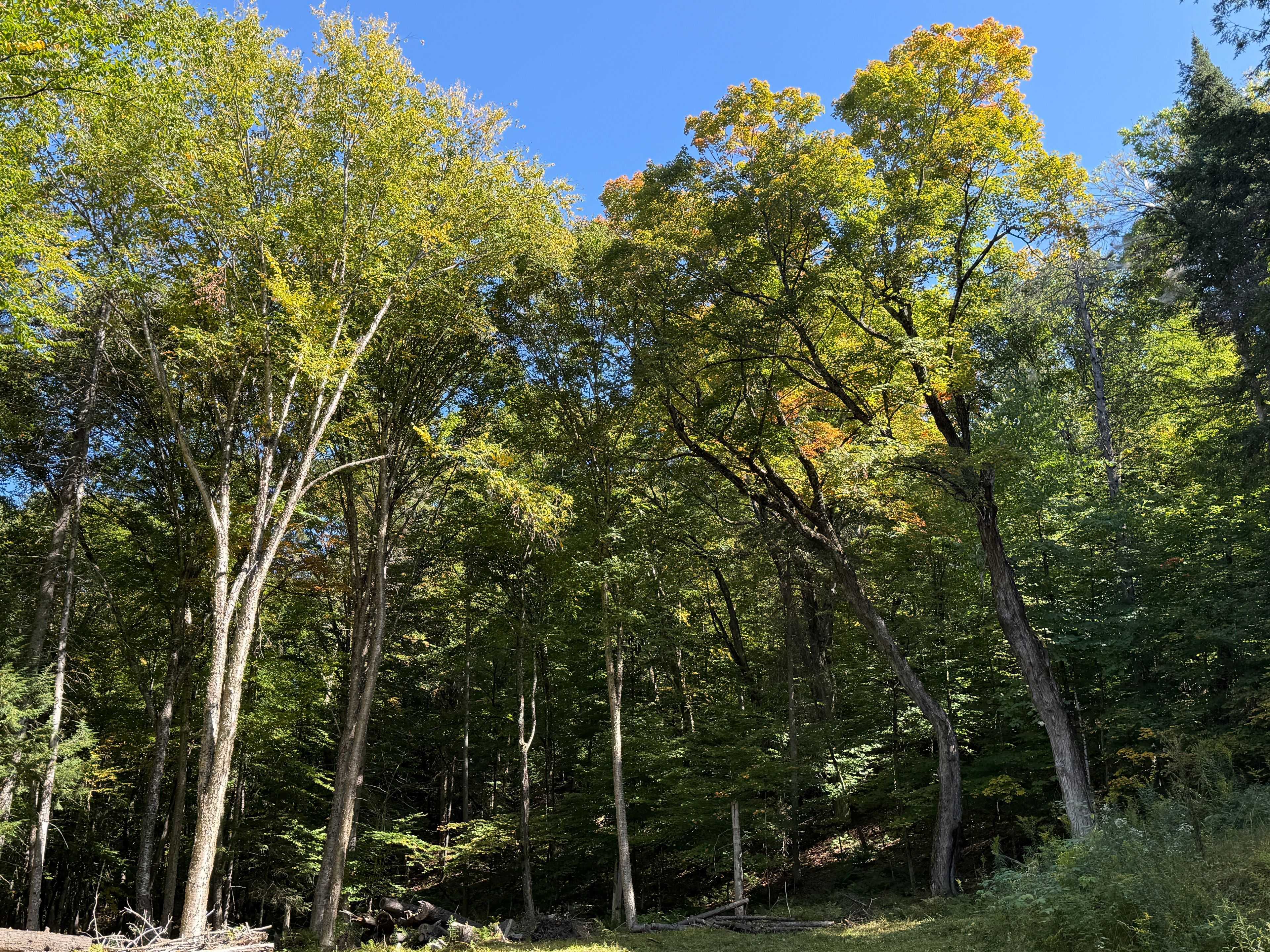 Huntsville, ON P1H 2J3,1378 North Mary Lake RD