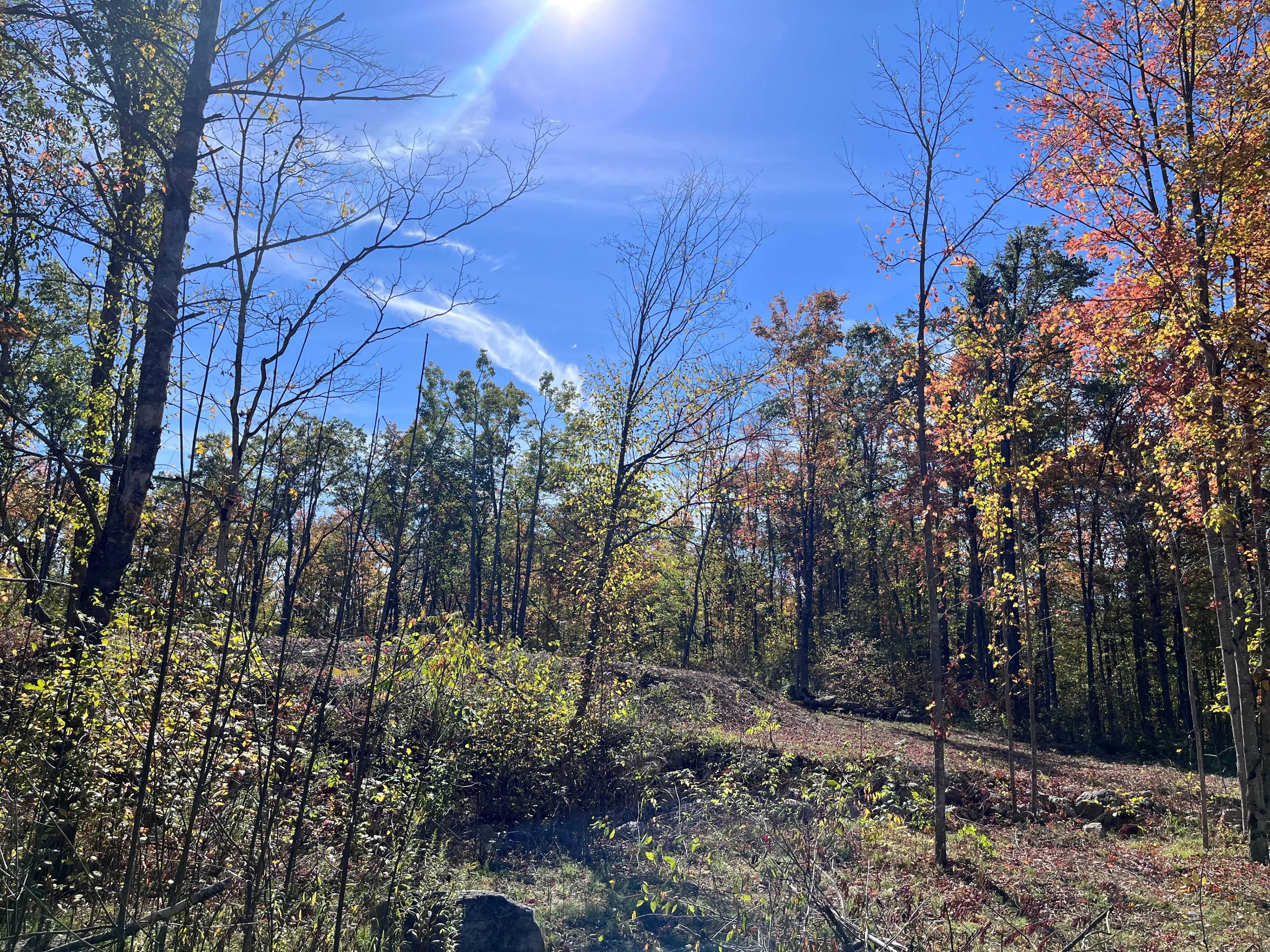 Douro-dummer, ON K0L 2C0,8 Hickson RD