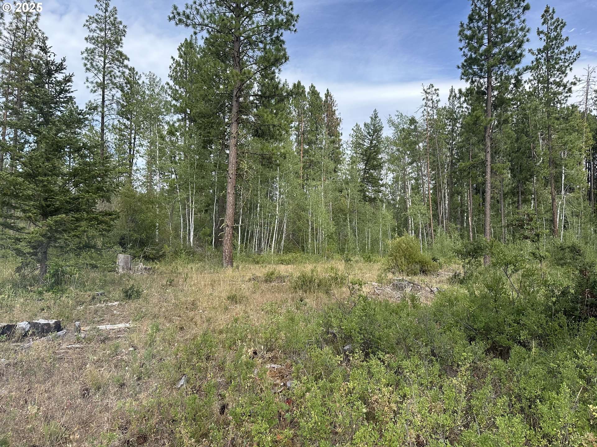 Goldendale, WA 98620,3 Greyback Mt RD