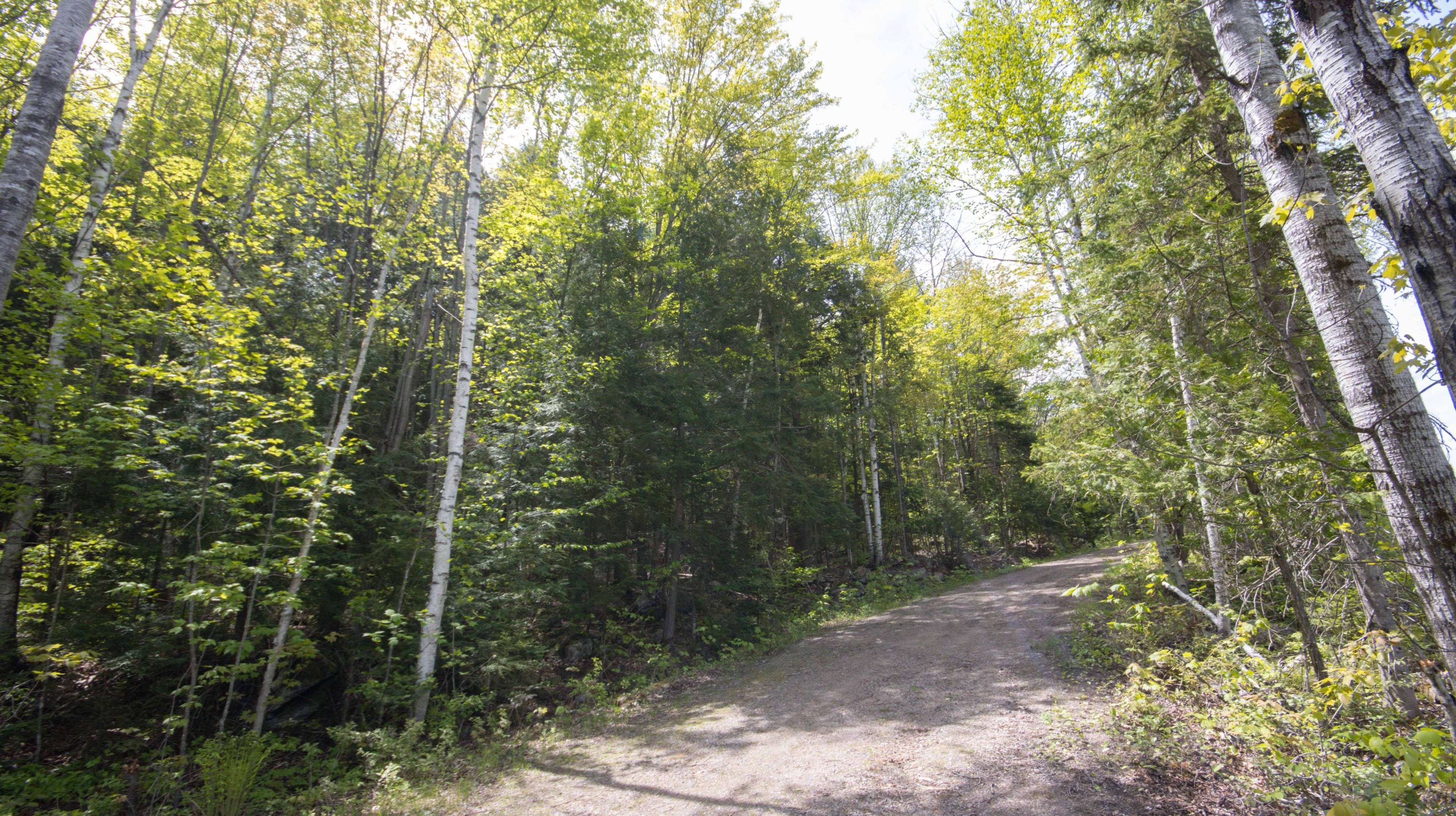 Madawaska Valley, ON K0J 1B0,00 Siberia RD