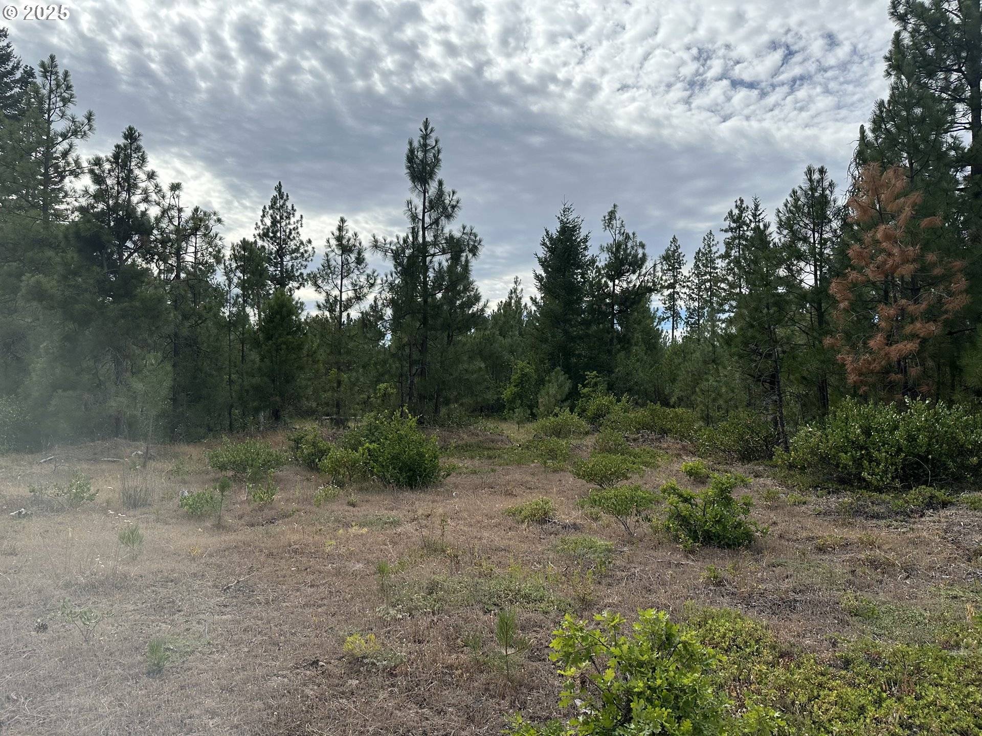 Goldendale, WA 98620,5 Greyback Mtn RD