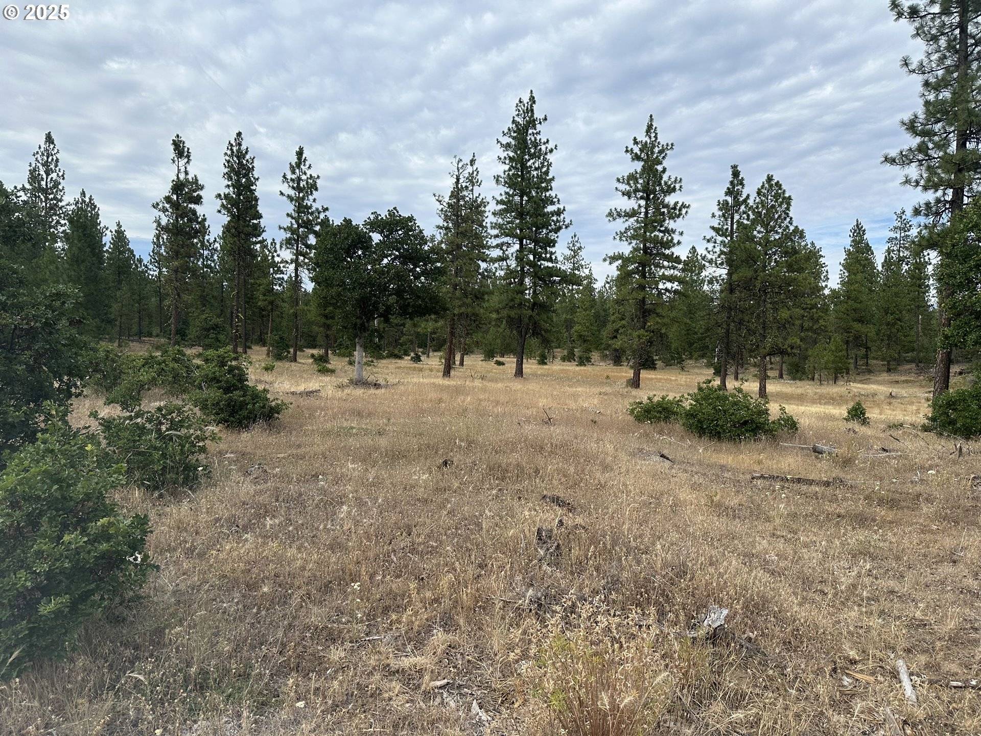 Goldendale, WA 98620,5 Greyback Mtn RD