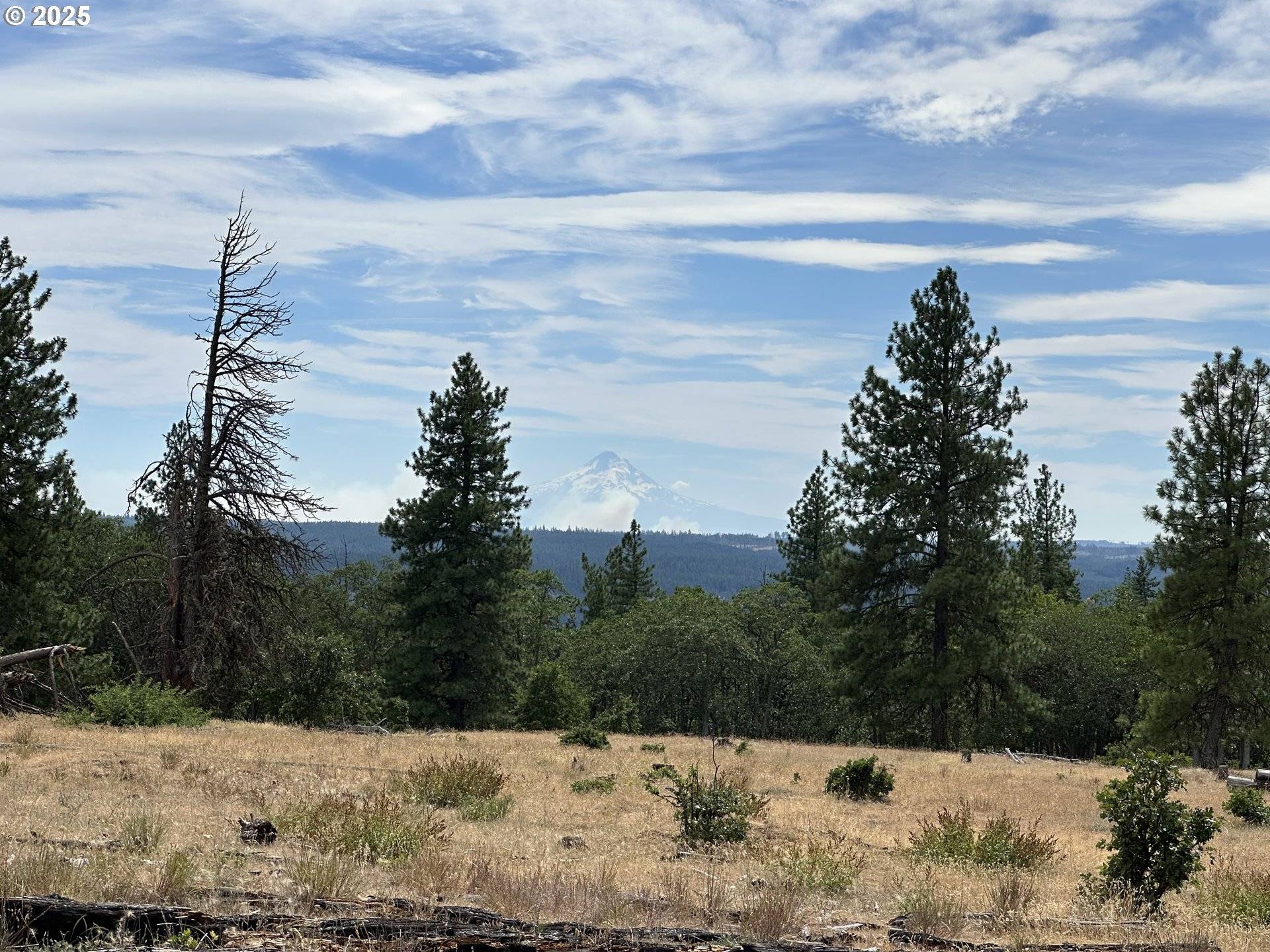 Goldendale, WA 98620,27 Greyback Mtn RD