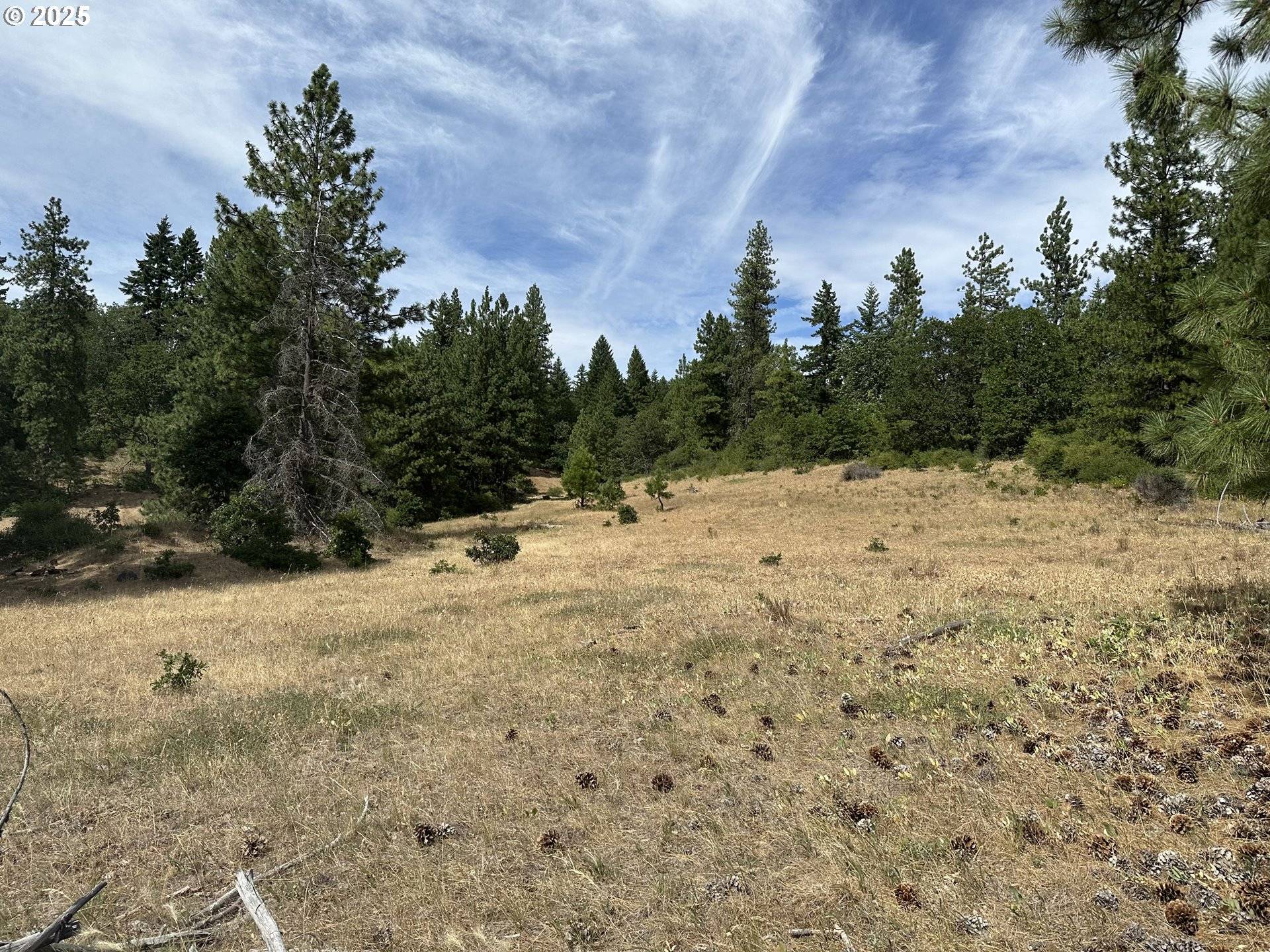 Goldendale, WA 98620,27 Greyback Mtn RD