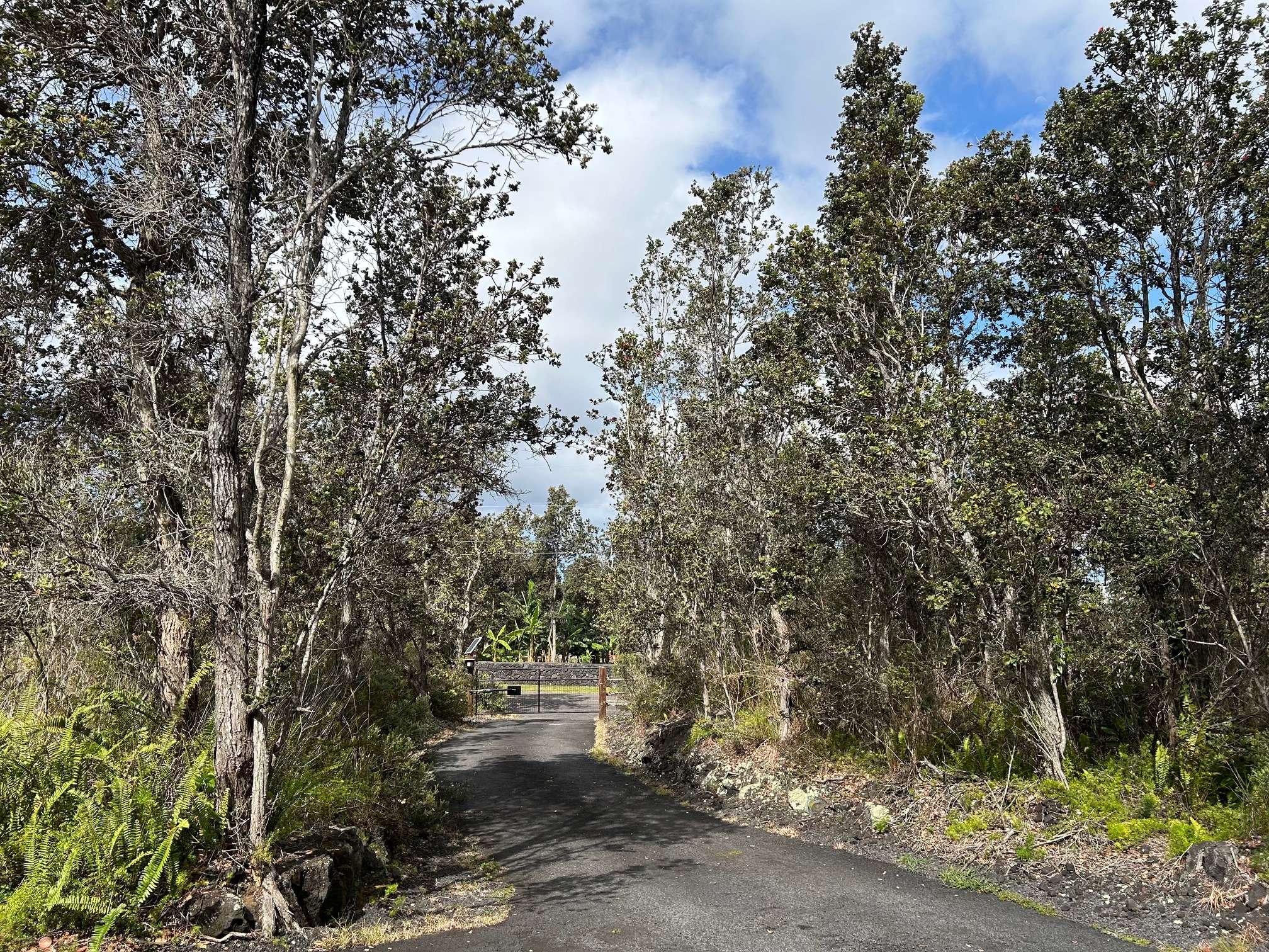 Ocean View, HI 96737,92-9146 TREE FERN LN