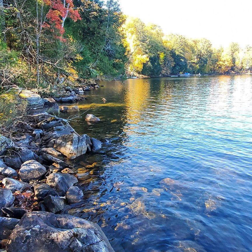 Lake Of Bays, ON P0A 1H0,1902 A FOXPOINT RD