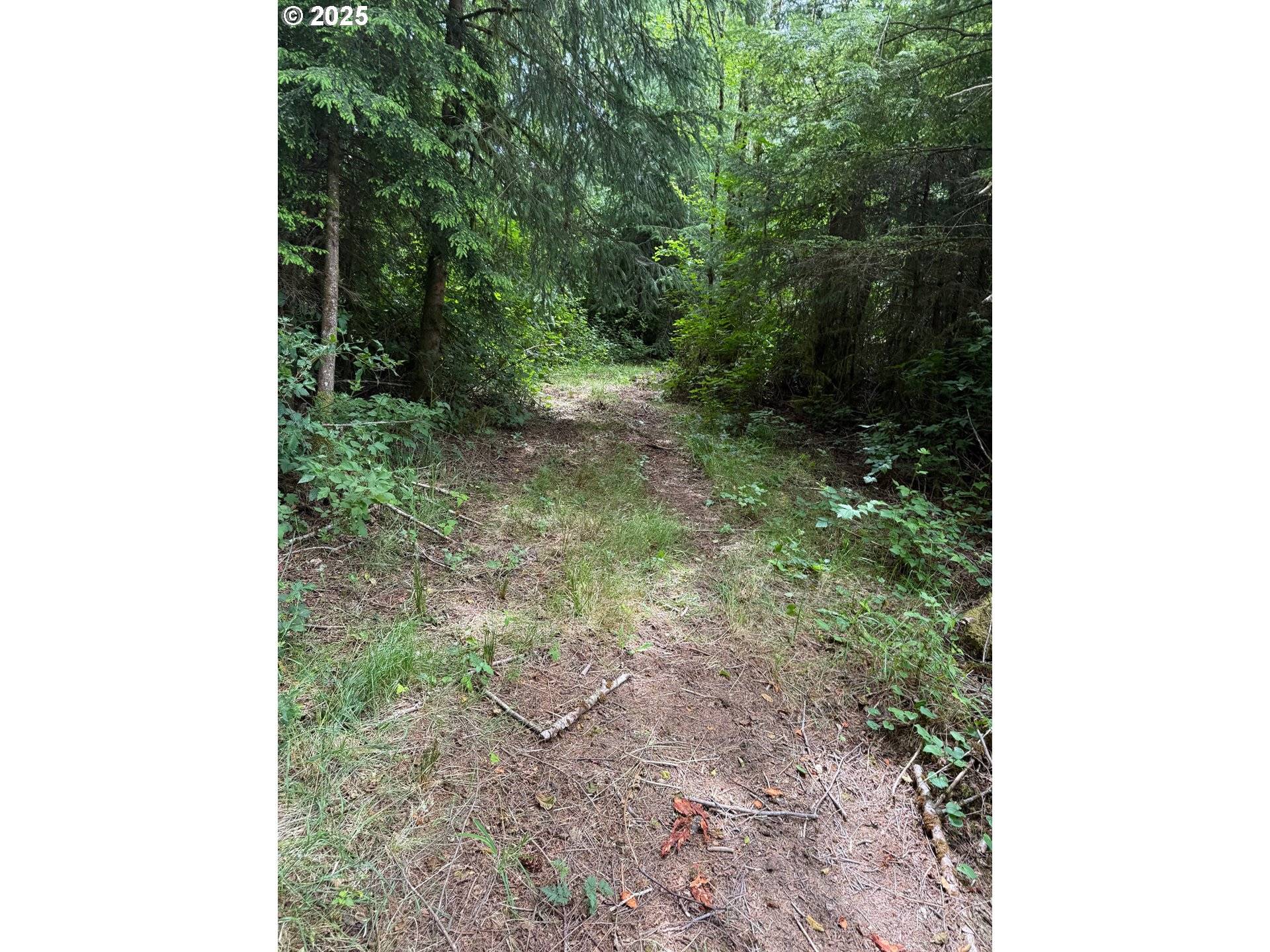 Rosburg, WA 98643,0 Altoona Pillar Rock