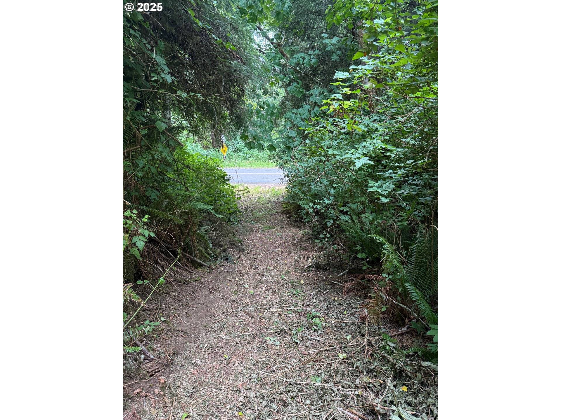 Rosburg, WA 98643,0 Altoona Pillar Rock