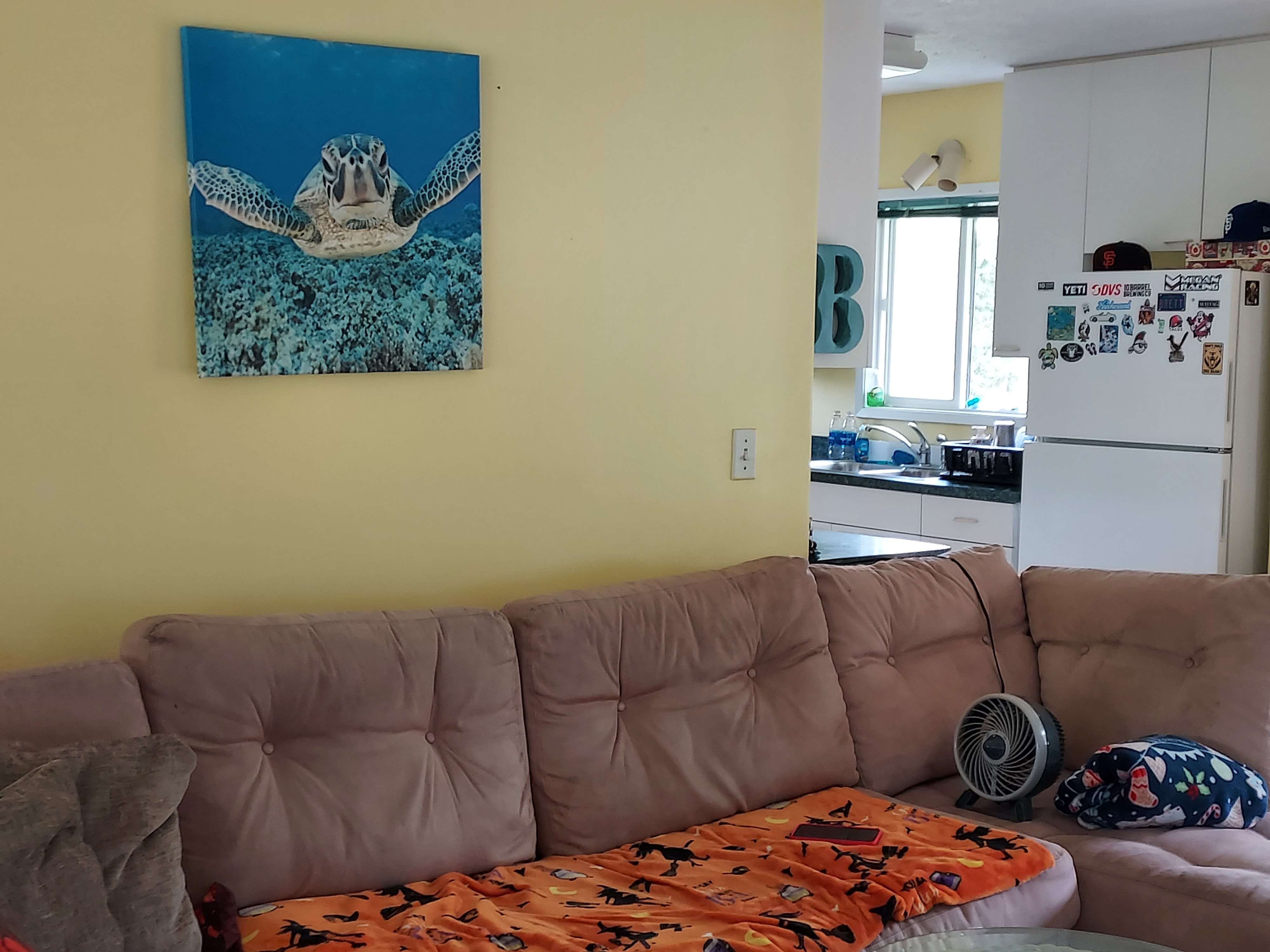 Pahoa, HI 96778,15-2791 AWA ST