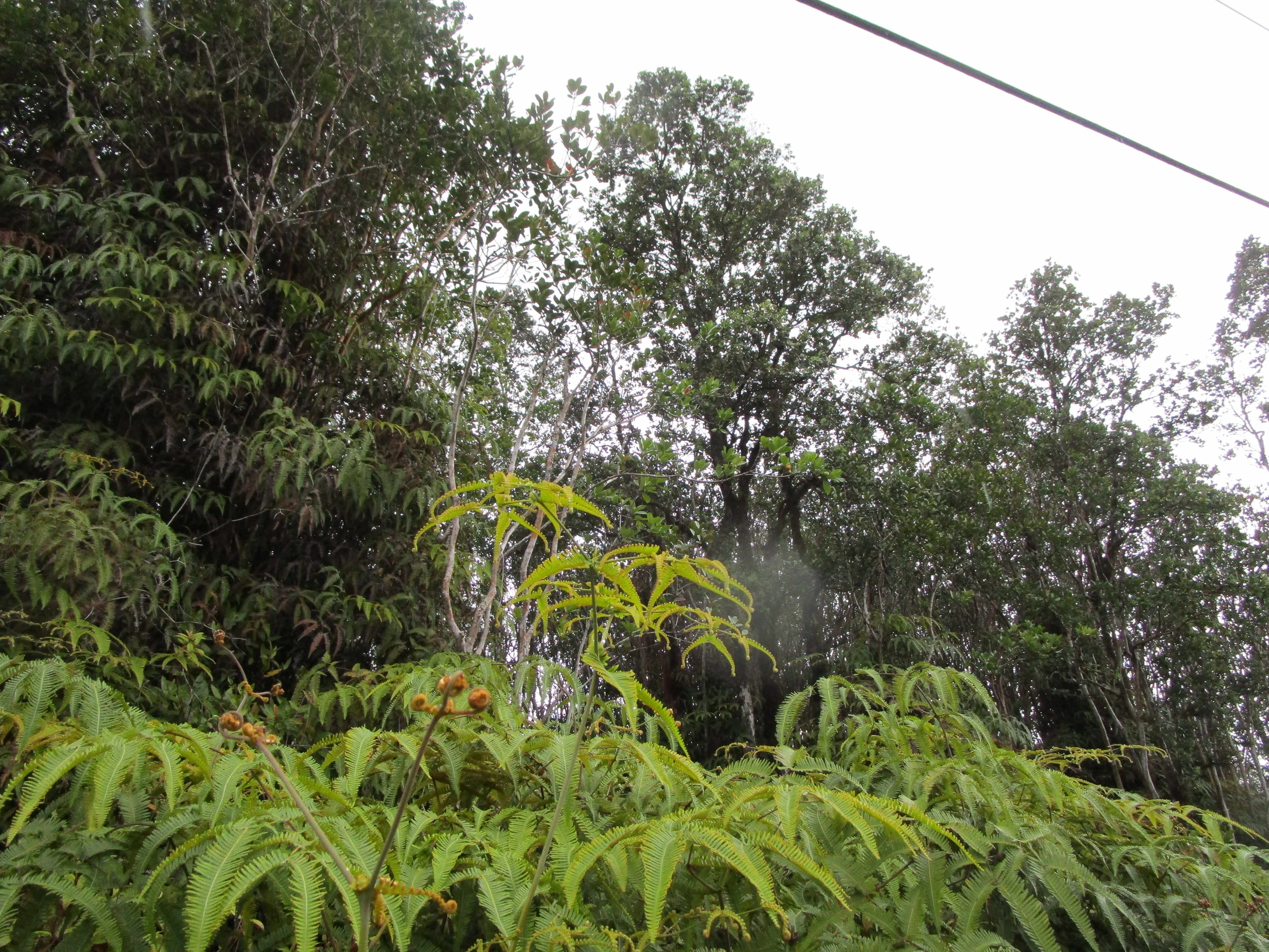 Mountain View, HI 96760,ROAD 1 (UHINI ANA)