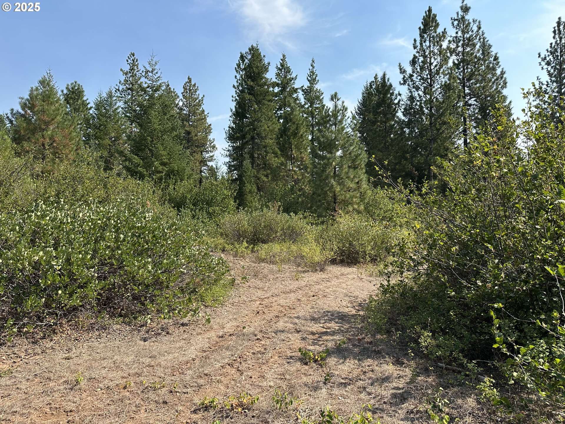 Goldendale, WA 98620,2 Cedar Monument RD