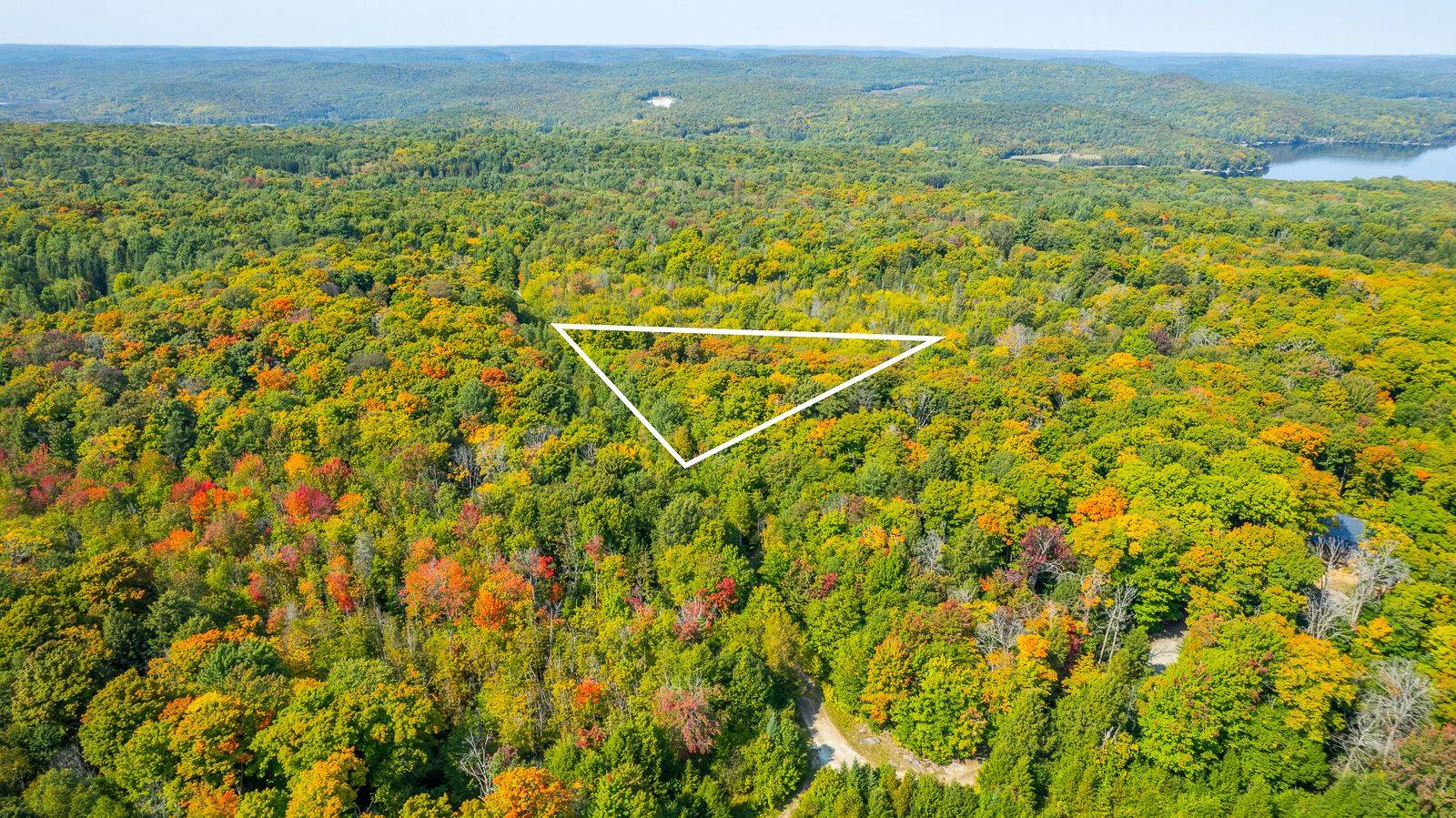 Dysart Et Al, ON K0M 1S0,LOT 49 BASSHAUNT LAKE RD