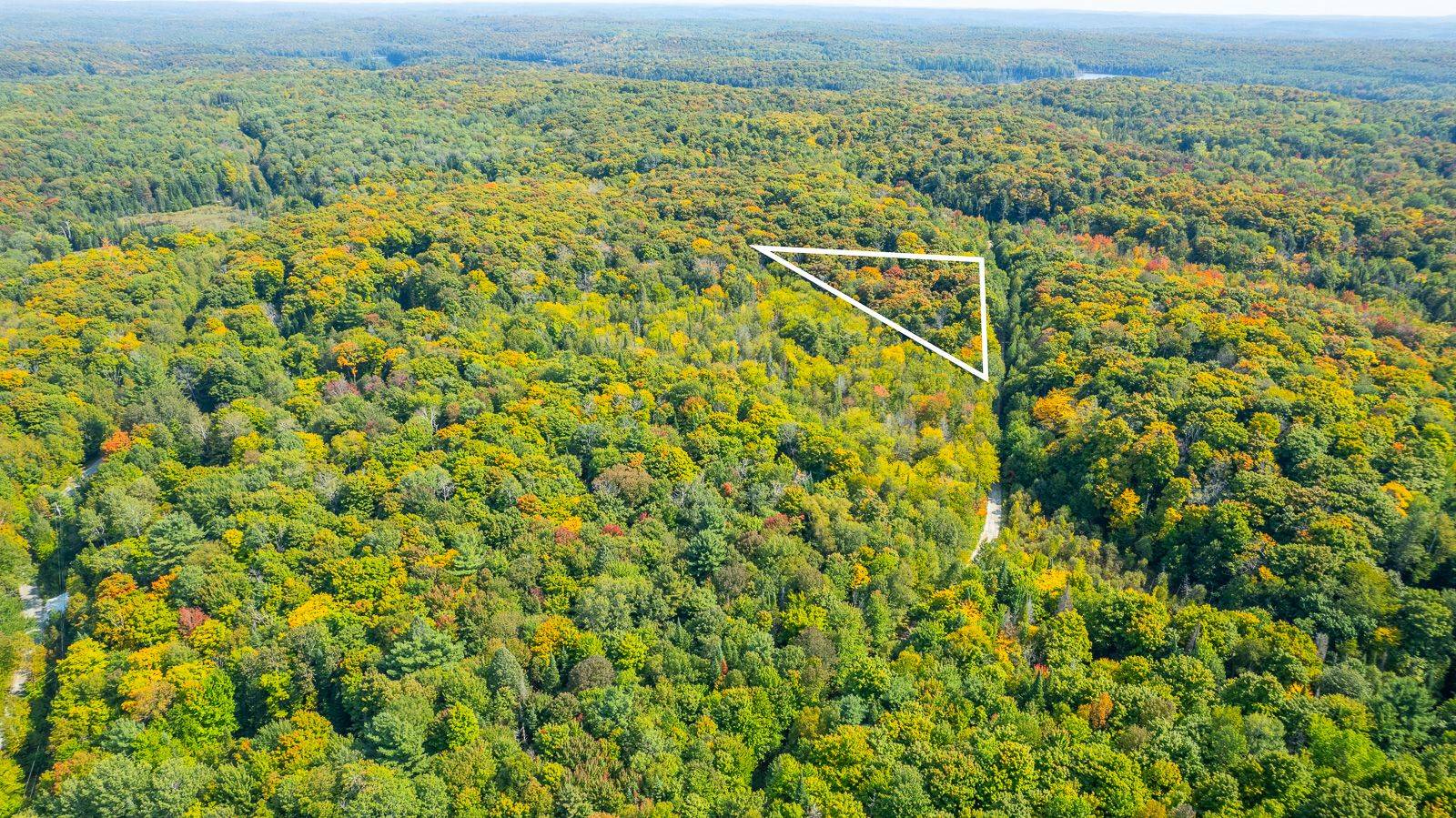 Dysart Et Al, ON K0M 1S0,LOT 49 BASSHAUNT LAKE RD