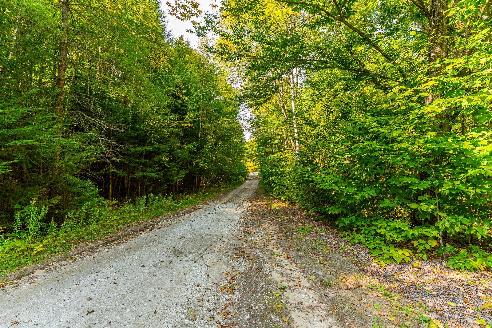 Dysart Et Al, ON K0M 1S0,LOT 49 BASSHAUNT LAKE RD