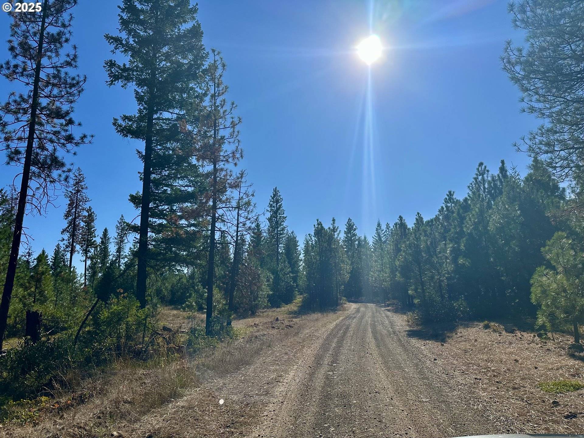 Goldendale, WA 98620,Black Butte - Lot 16