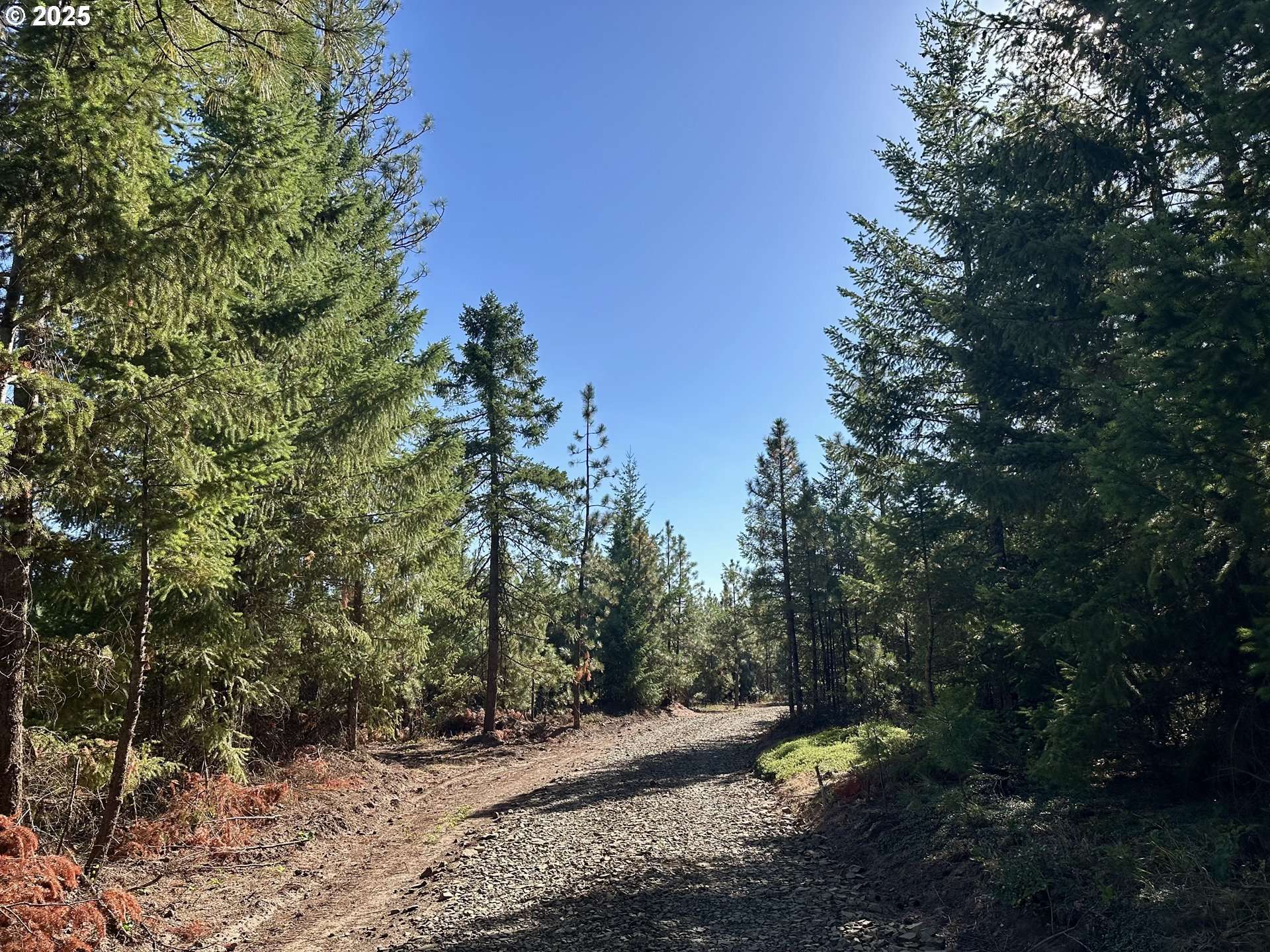 Goldendale, WA 98620,Black Butte - Lot 16