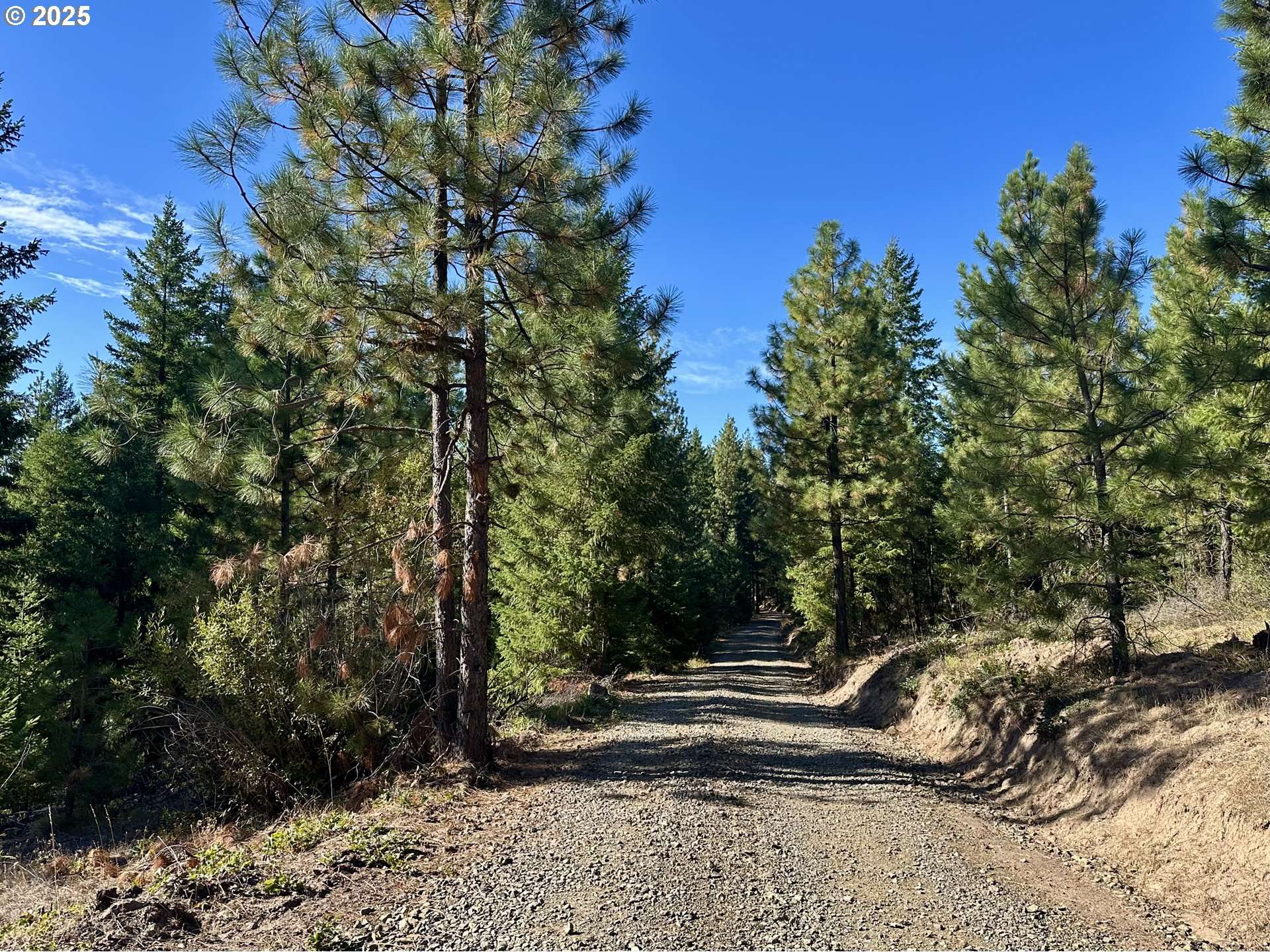 Goldendale, WA 98620,Black Butte - Lot 16