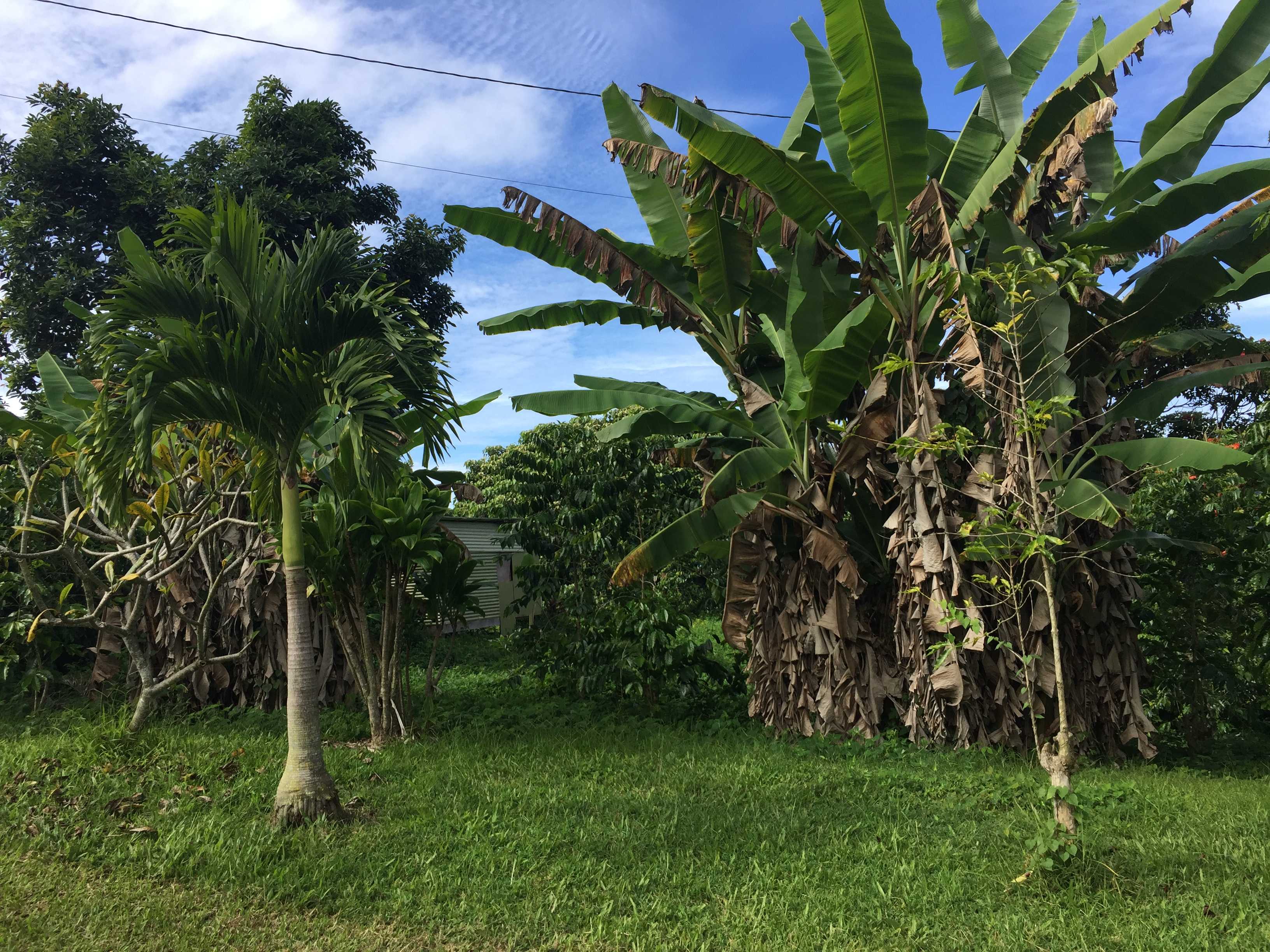 Captain Cook, HI 96704,88-2660 PAPA HOMESTEAD RD