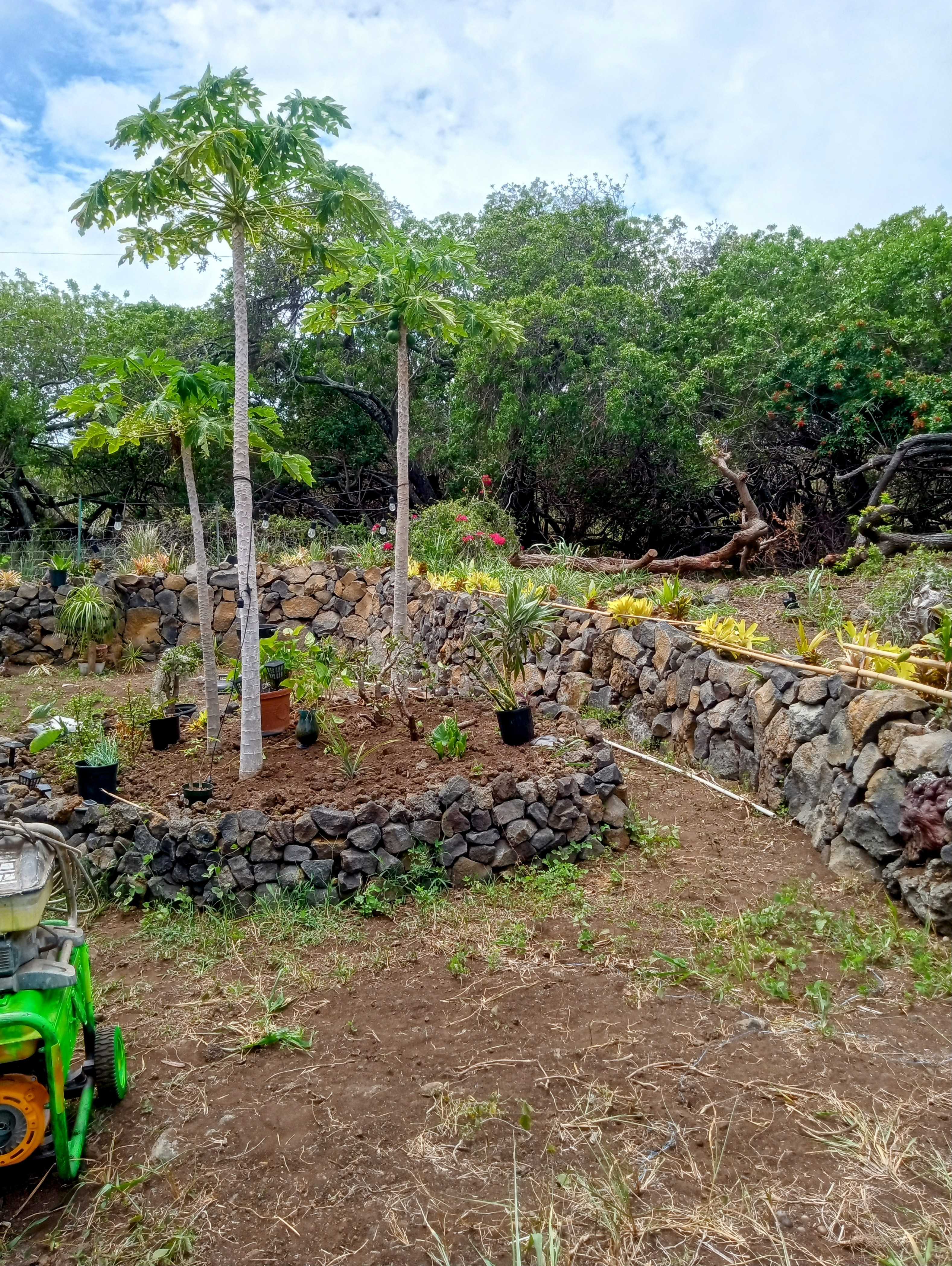 Naalehu, HI 96772,94-6336 PUA ST