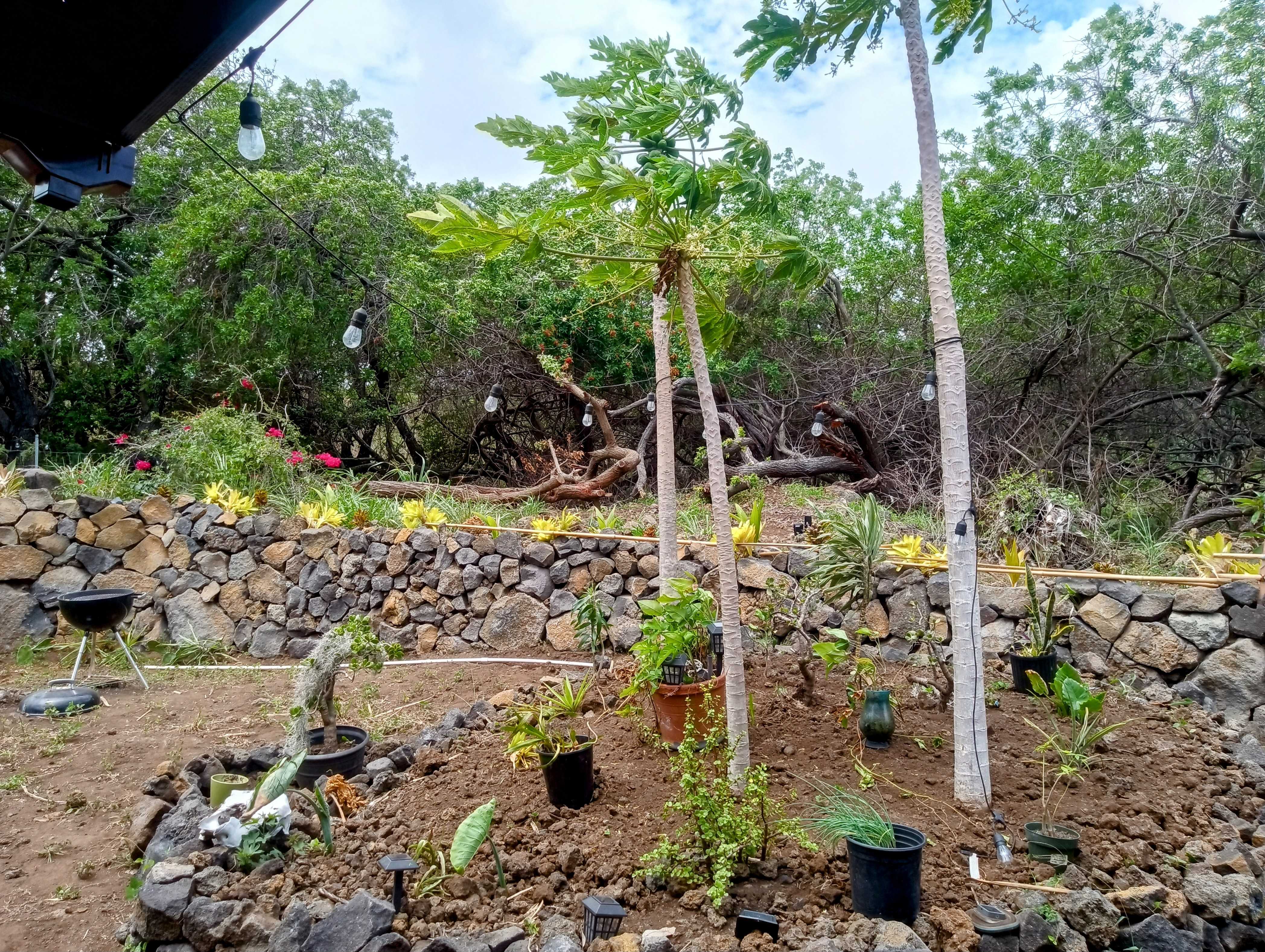 Naalehu, HI 96772,94-6336 PUA ST