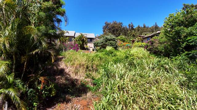 Kalaheo, HI 96741,KALAHEO DR