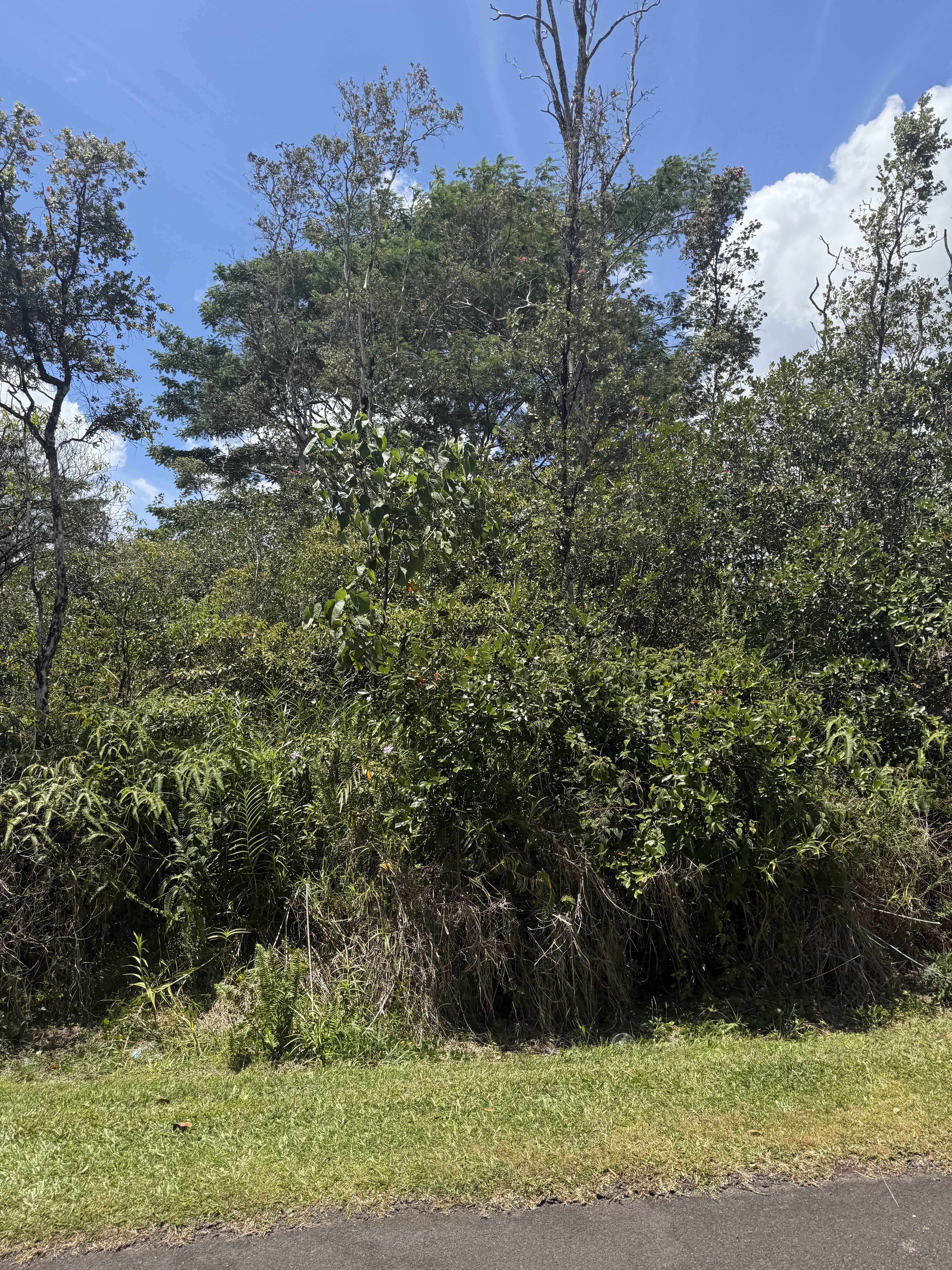 Pahoa, HI 96778,PIKAKE DR