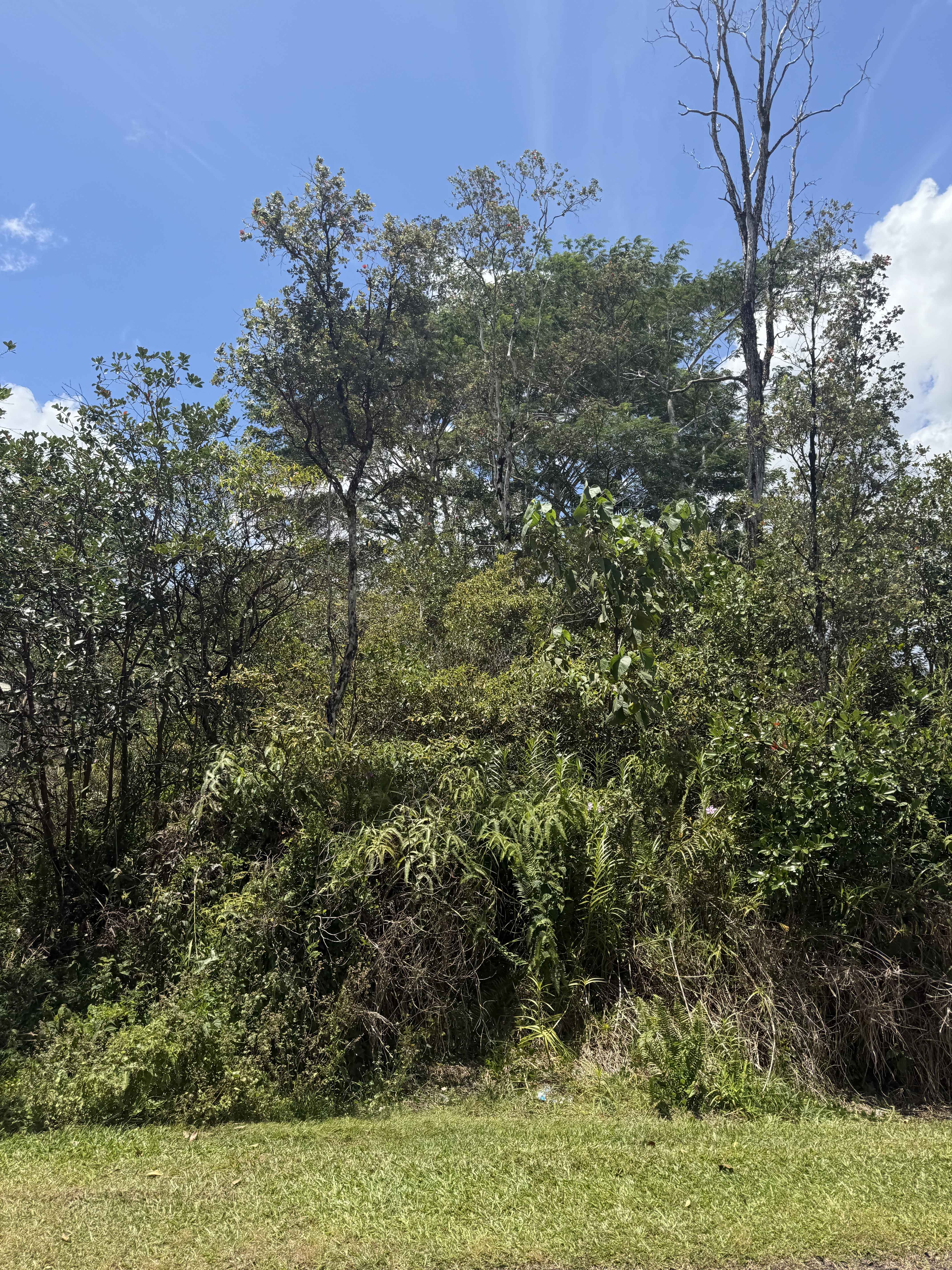 Pahoa, HI 96778,PIKAKE DR