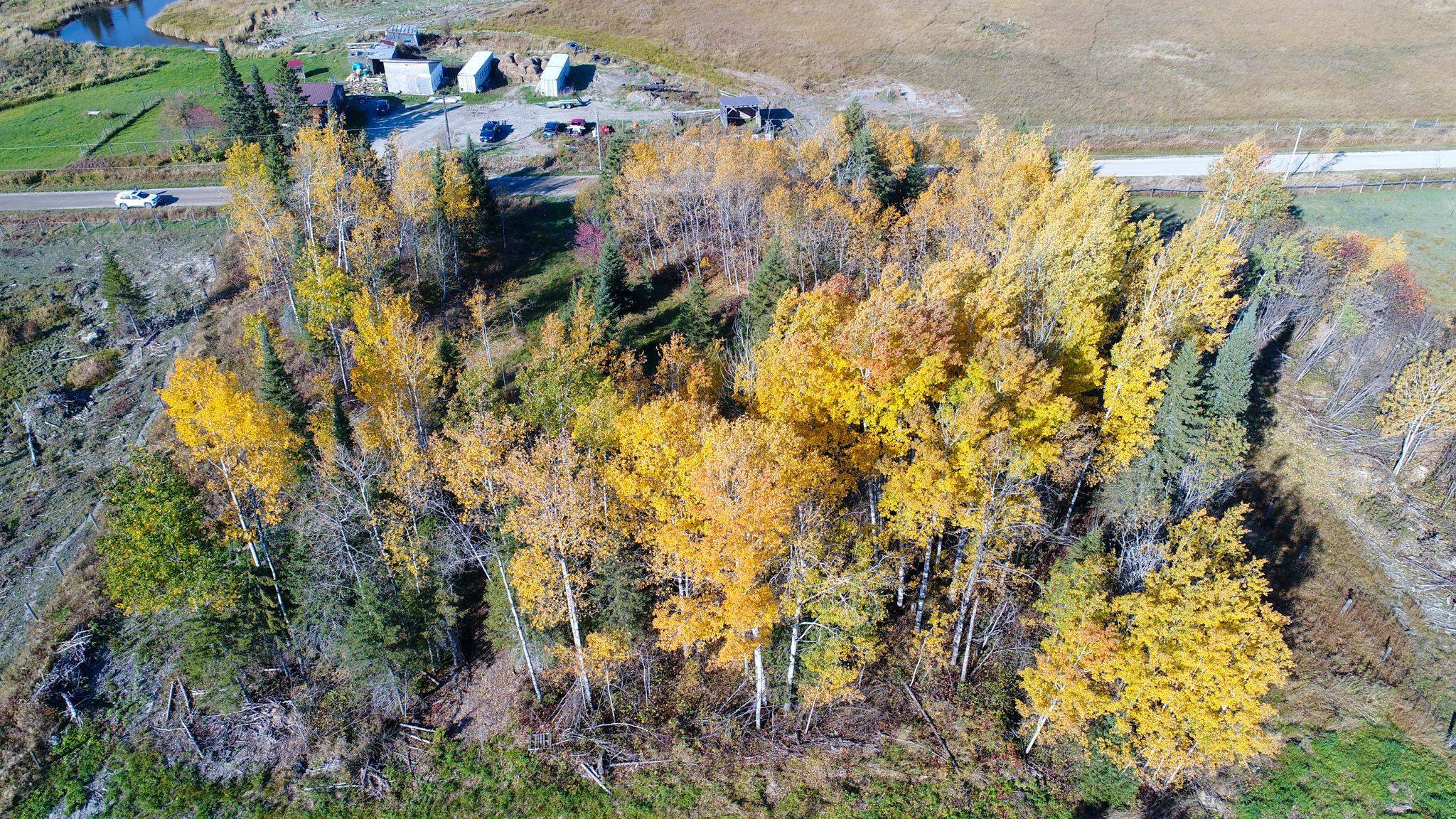 Englehart, ON P0J 1H0,PCL5224 Little RD