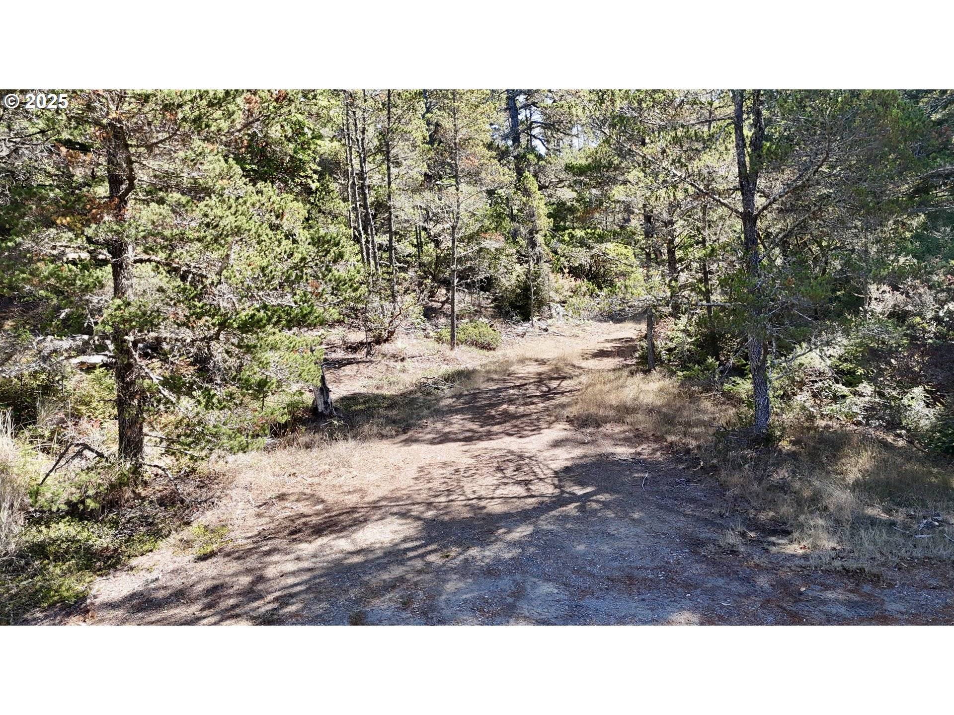 Pistol River, OR 97444,Carpenterville RD #41/42