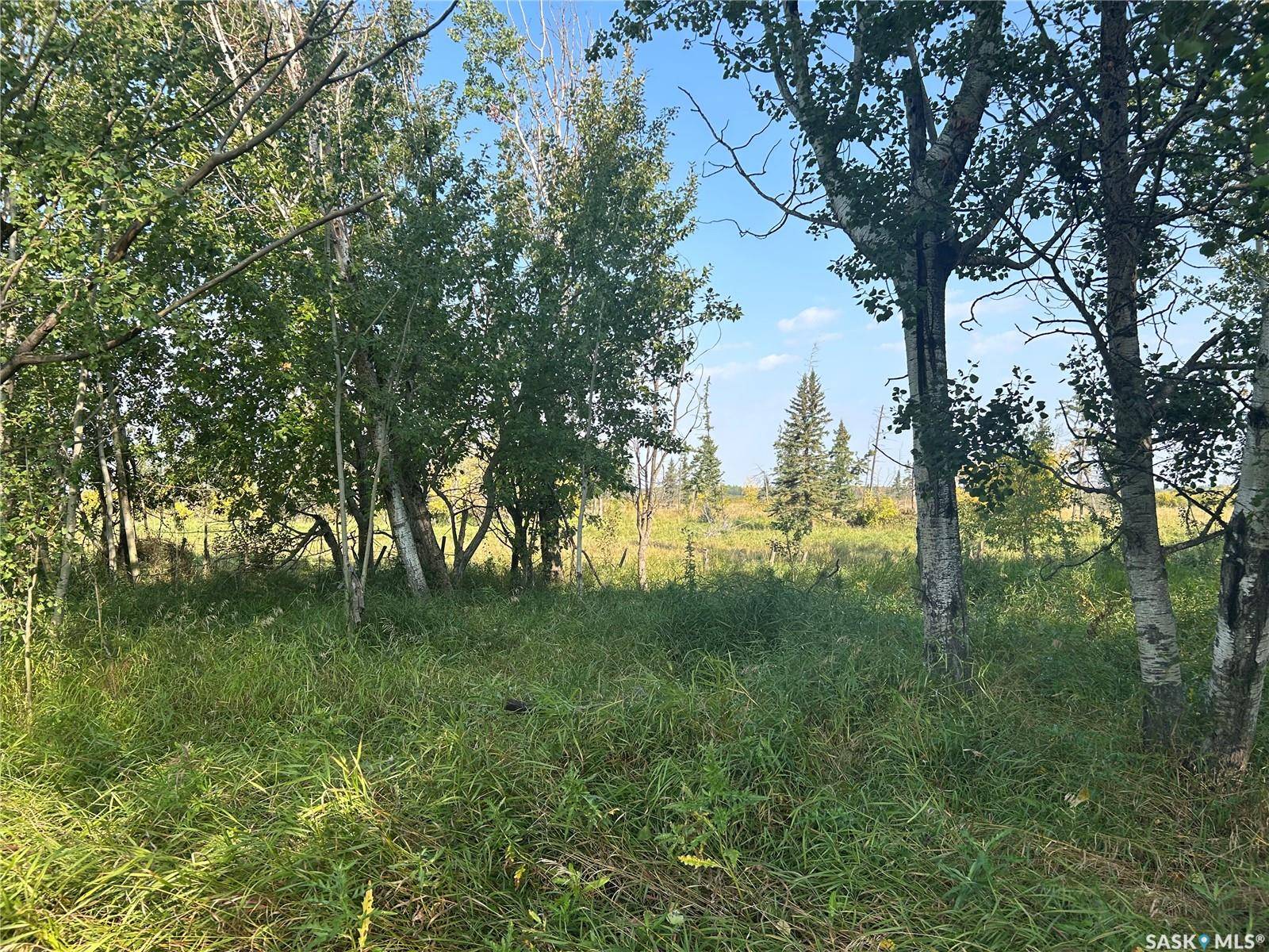 Barrier Valley Rm No. 397, SK S0E 0B0,Rural Address