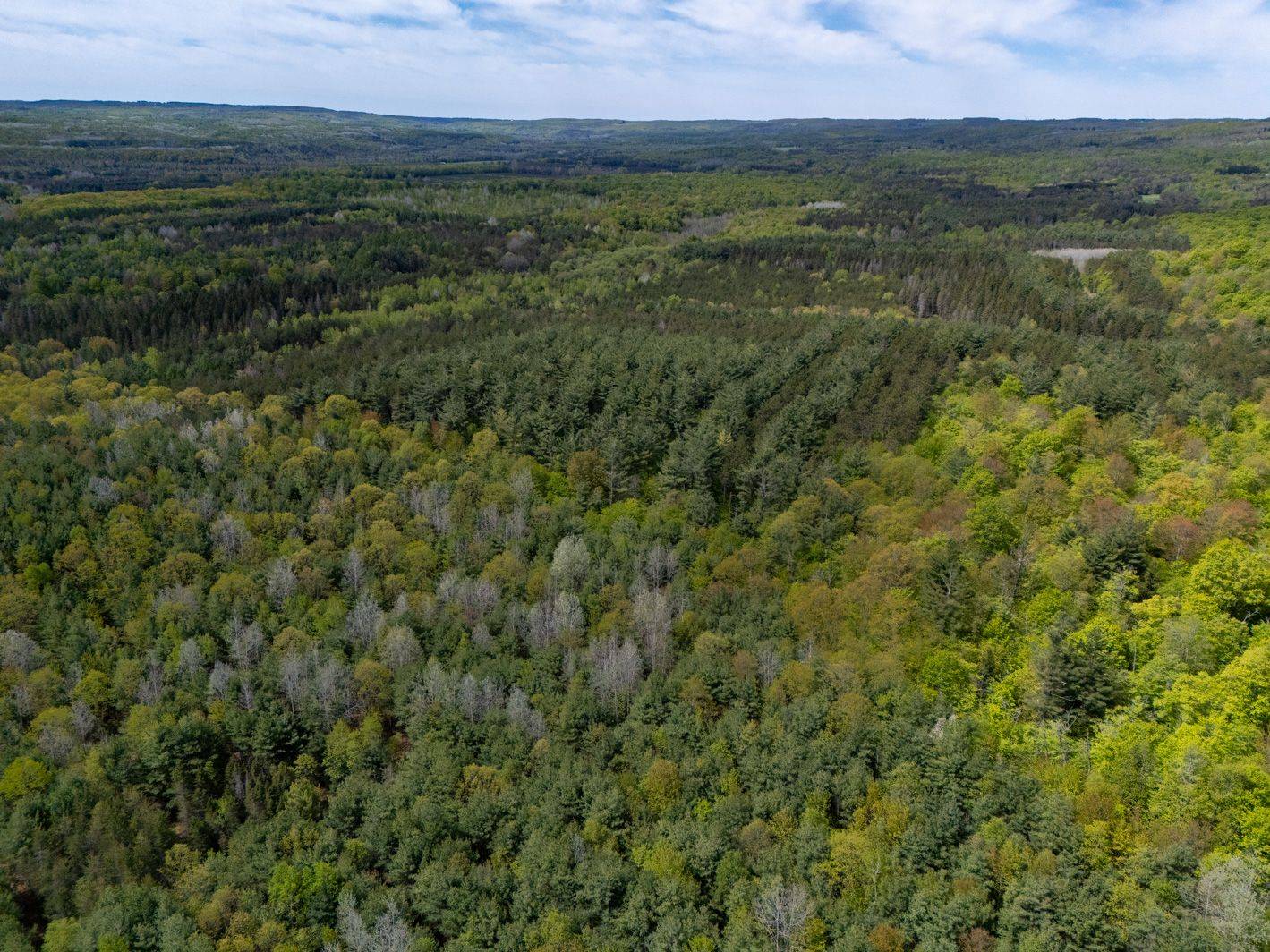 Mulmur, ON L9V 0J6,PT 2 LT 24 4th Line E