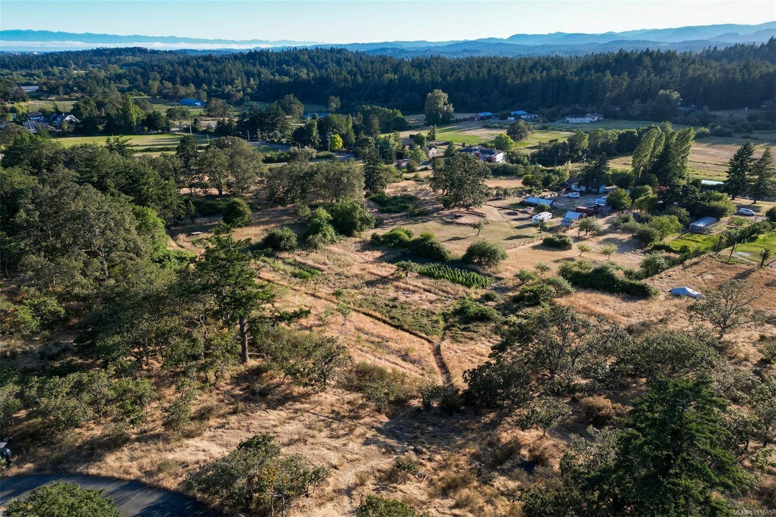 Saanich, BC V8X 2C7,4589 Blenkinsop Rd