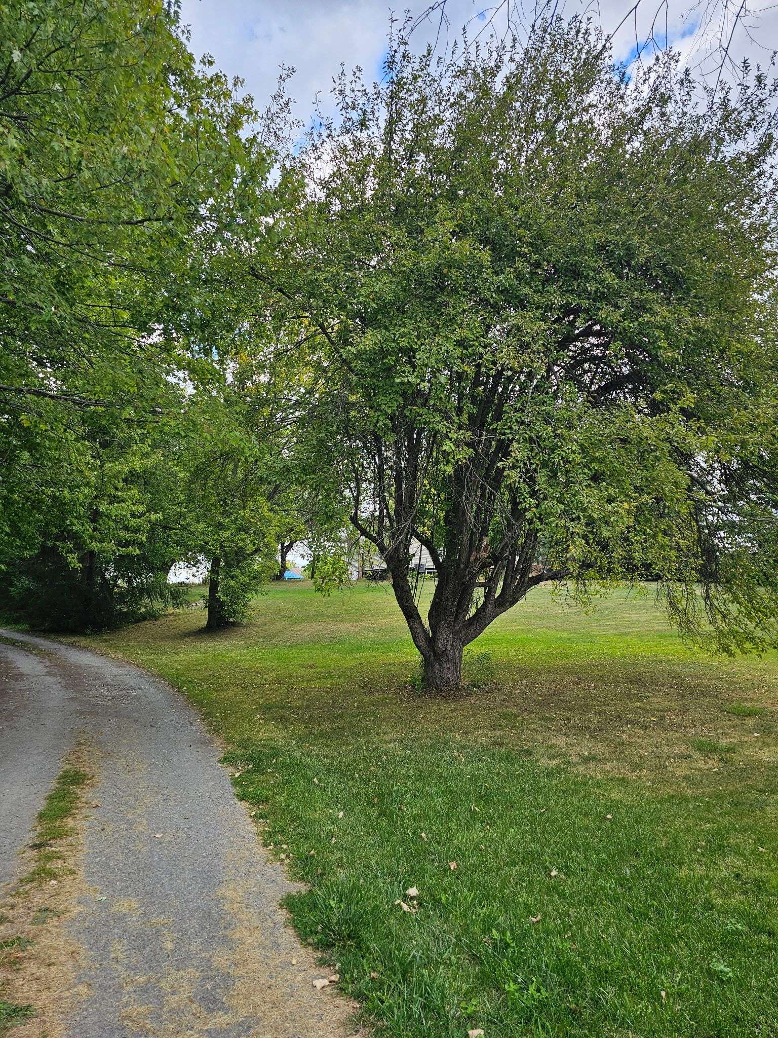 Tyendinaga, ON K0K 1X0,609 LOWER SLASH RD