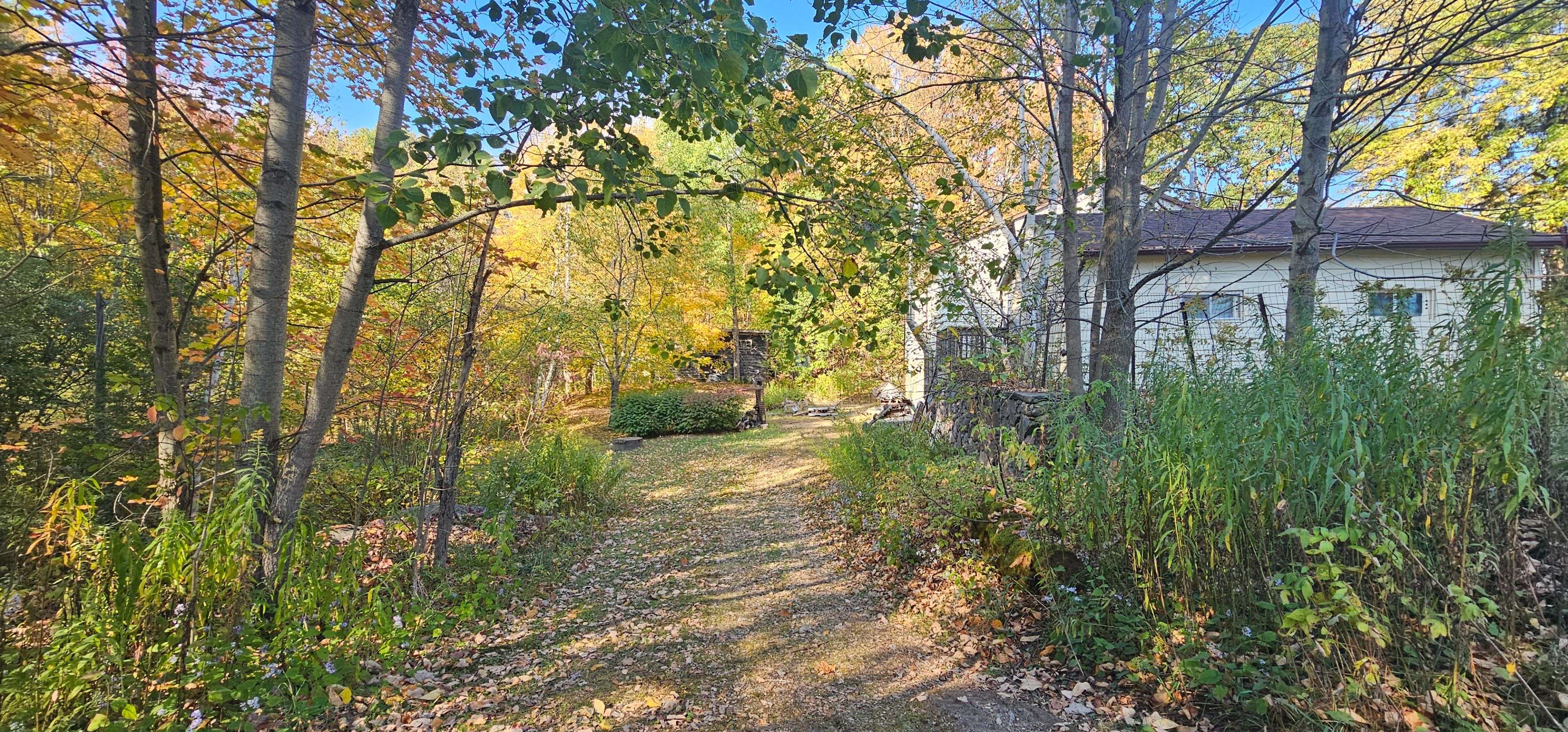 Gravenhurst, ON P0E 1G0,1479 11 HWY S