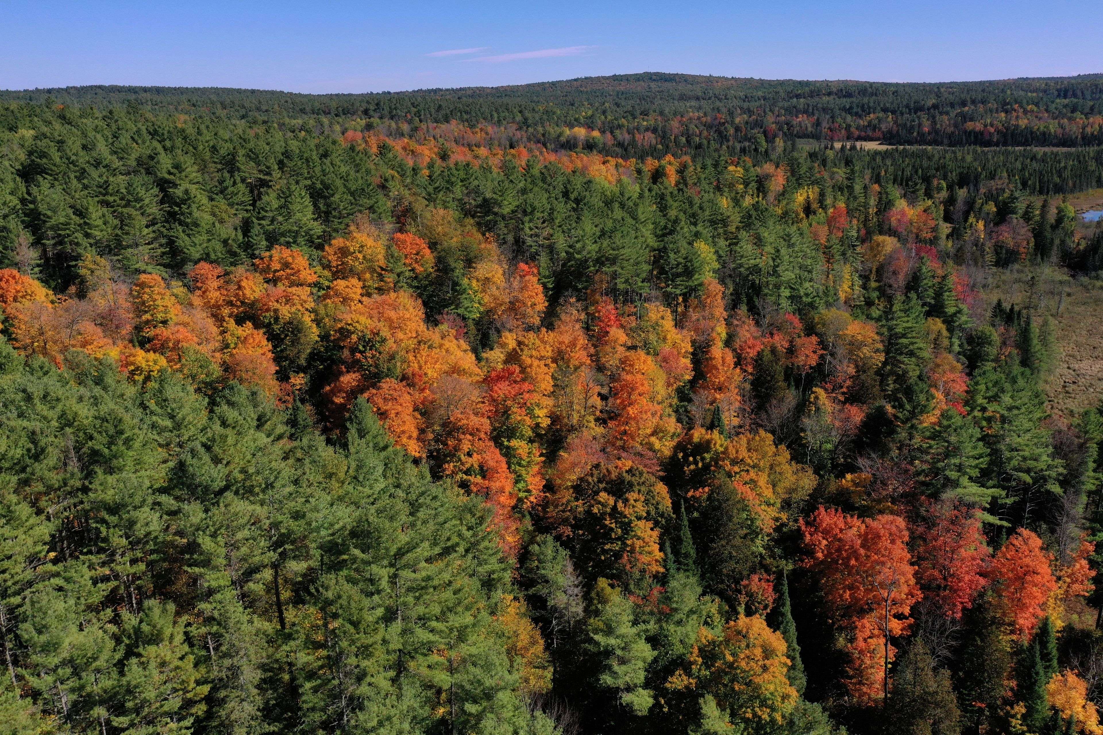 Lanark Highlands, ON K0G 1K0,00 K&P TRL