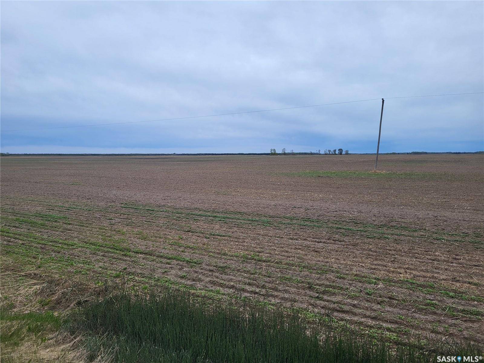 Torch River Rm No. 488, SK S0J 0B1,Rural Address