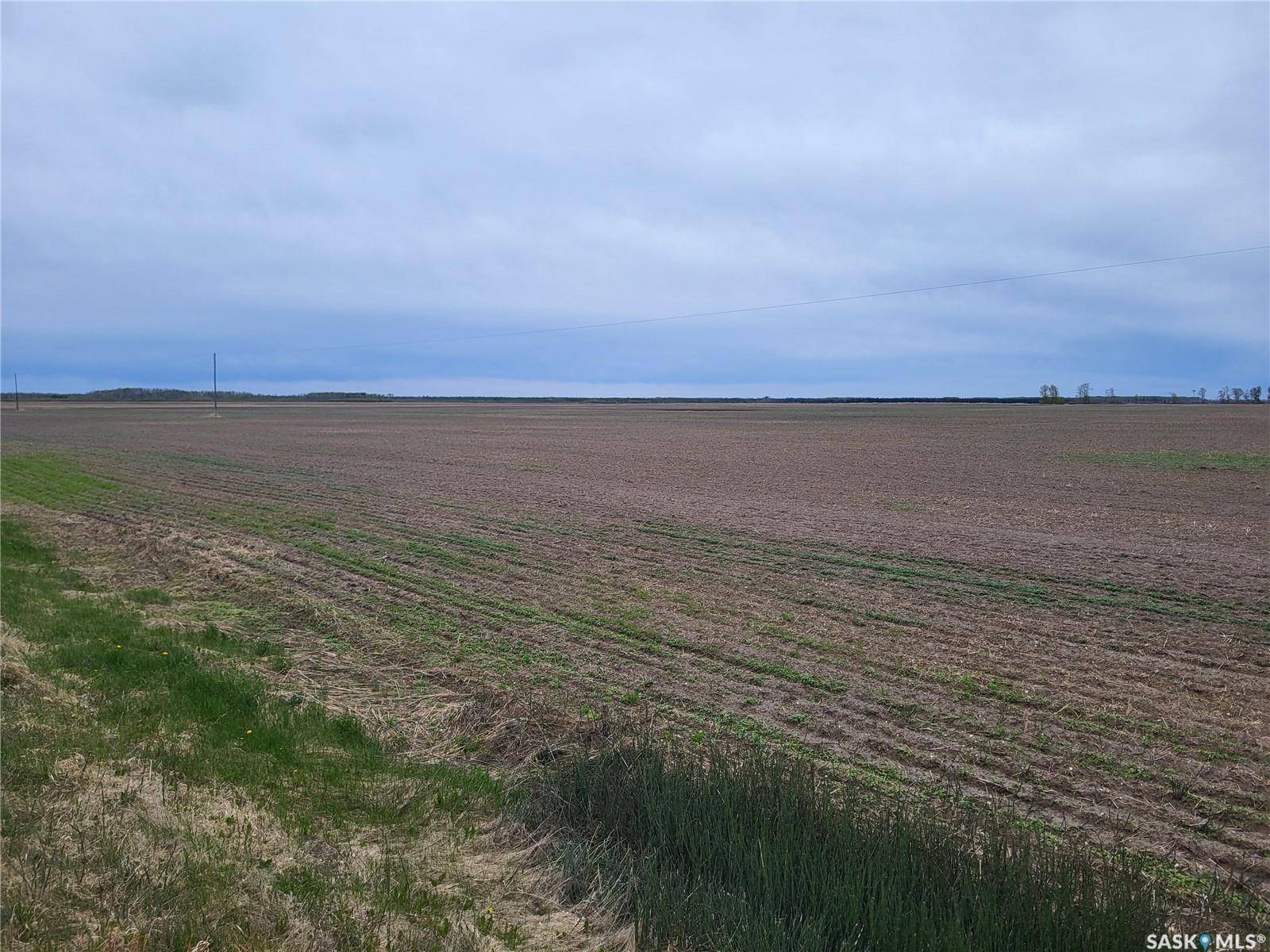 Torch River Rm No. 488, SK S0J 0B1,Rural Address