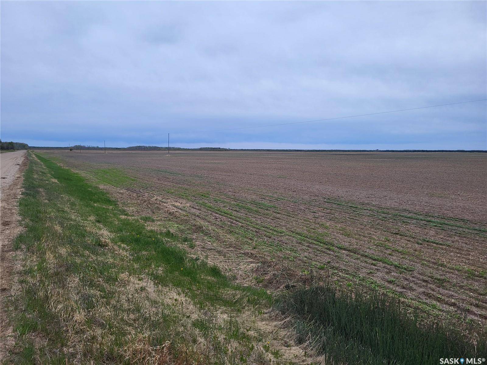 Torch River Rm No. 488, SK S0J 0B1,Rural Address