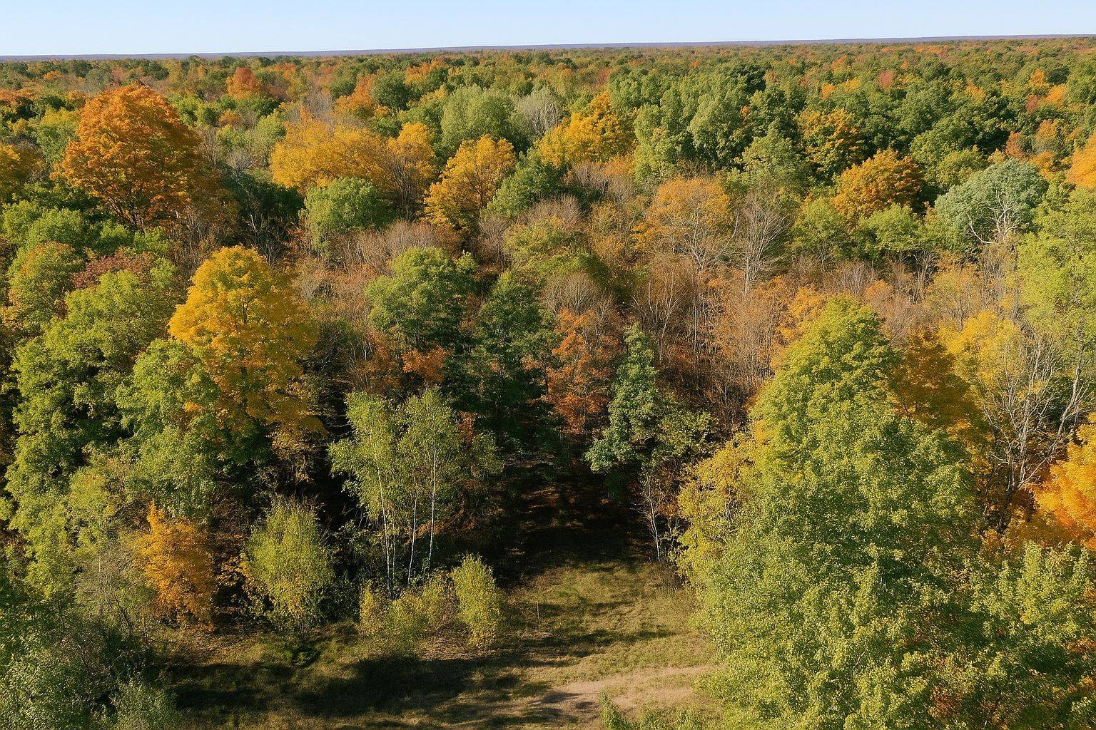 Tay Valley, ON K0H 2B0,00 Maple LN