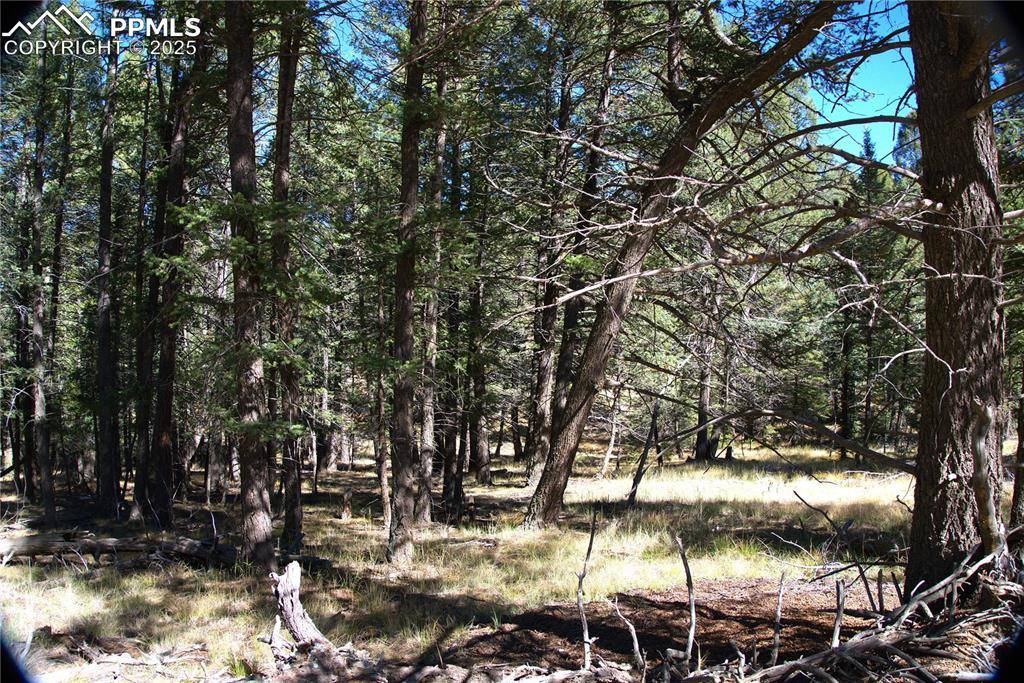 Florissant, CO 80816,252 Southpark RD