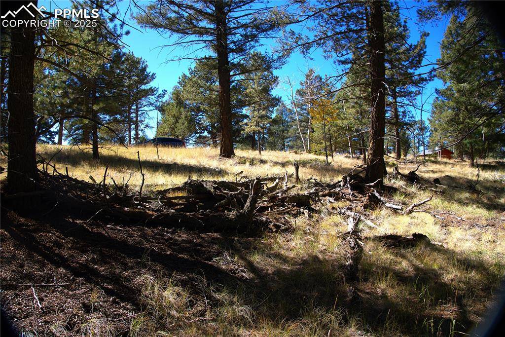 Florissant, CO 80816,252 Southpark RD