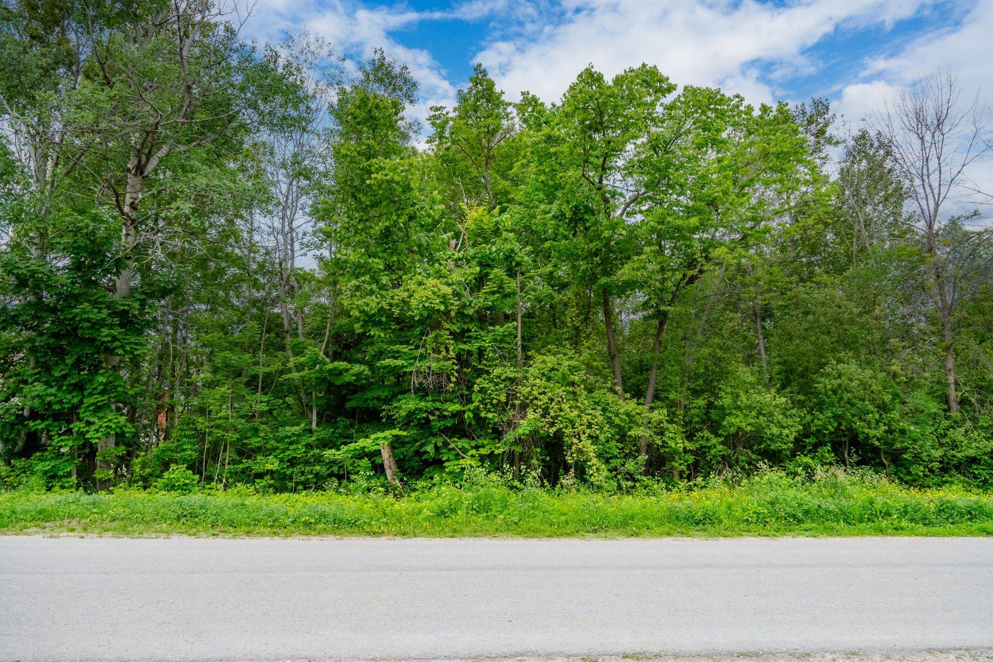 Tay, ON L0K 1R0,401 MCNICOLL ST