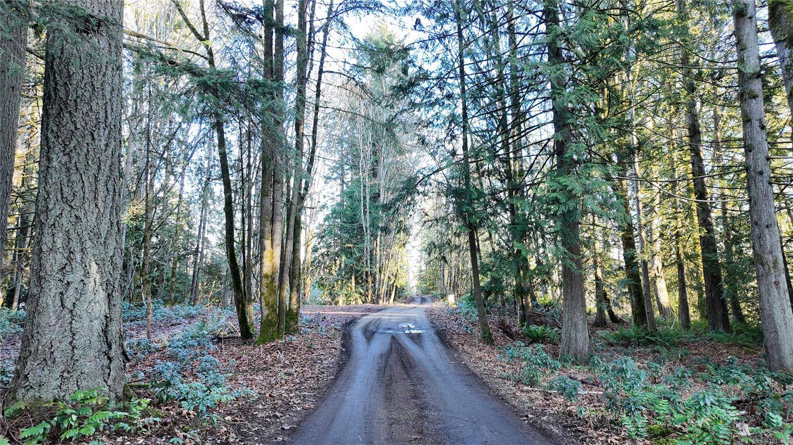 Duncan, BC V9L 5G7,Lot 1 Banks Rd