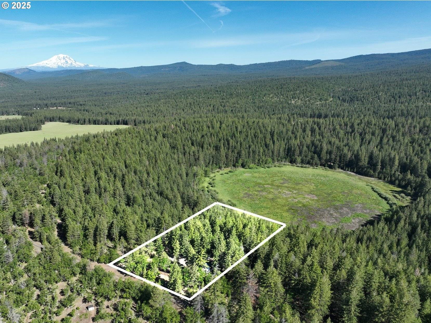 Goldendale, WA 98620,Pine Ridge #54